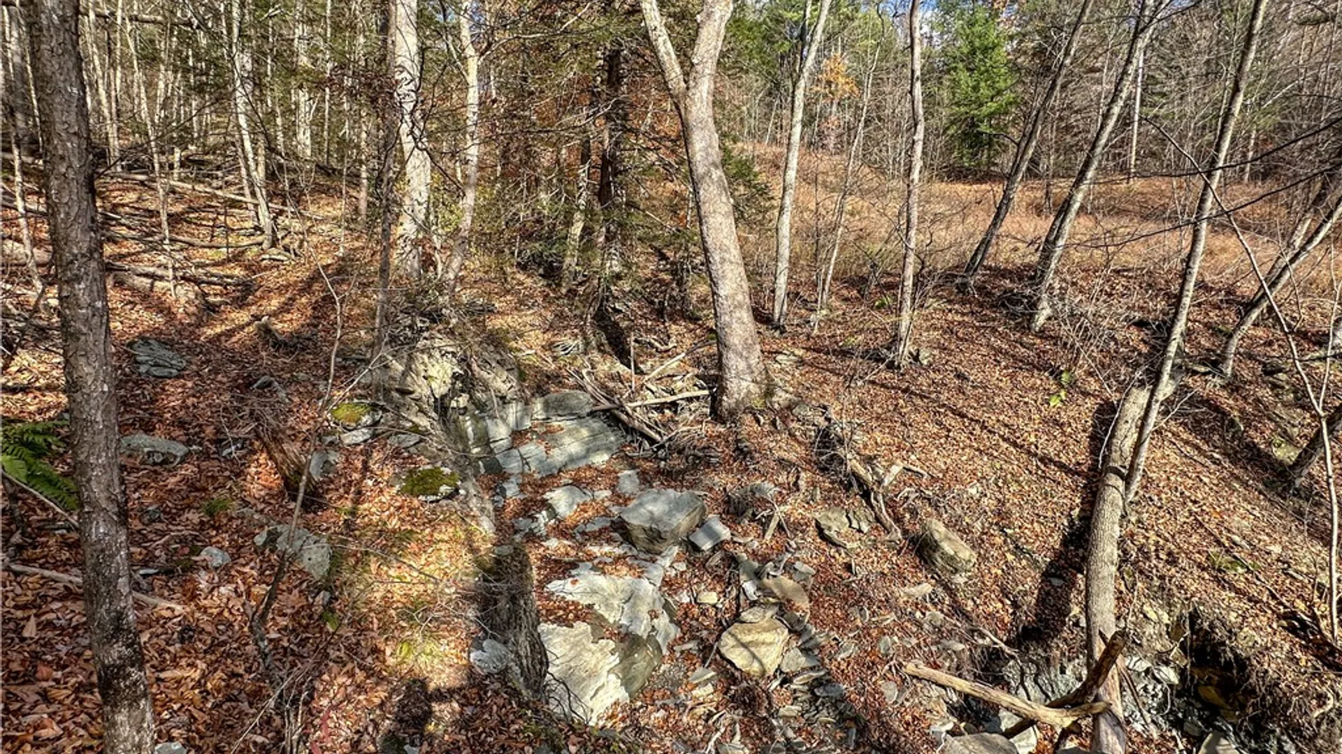 Property at VL Lot 1 County Route 119, Canisteo, NY 14823 8