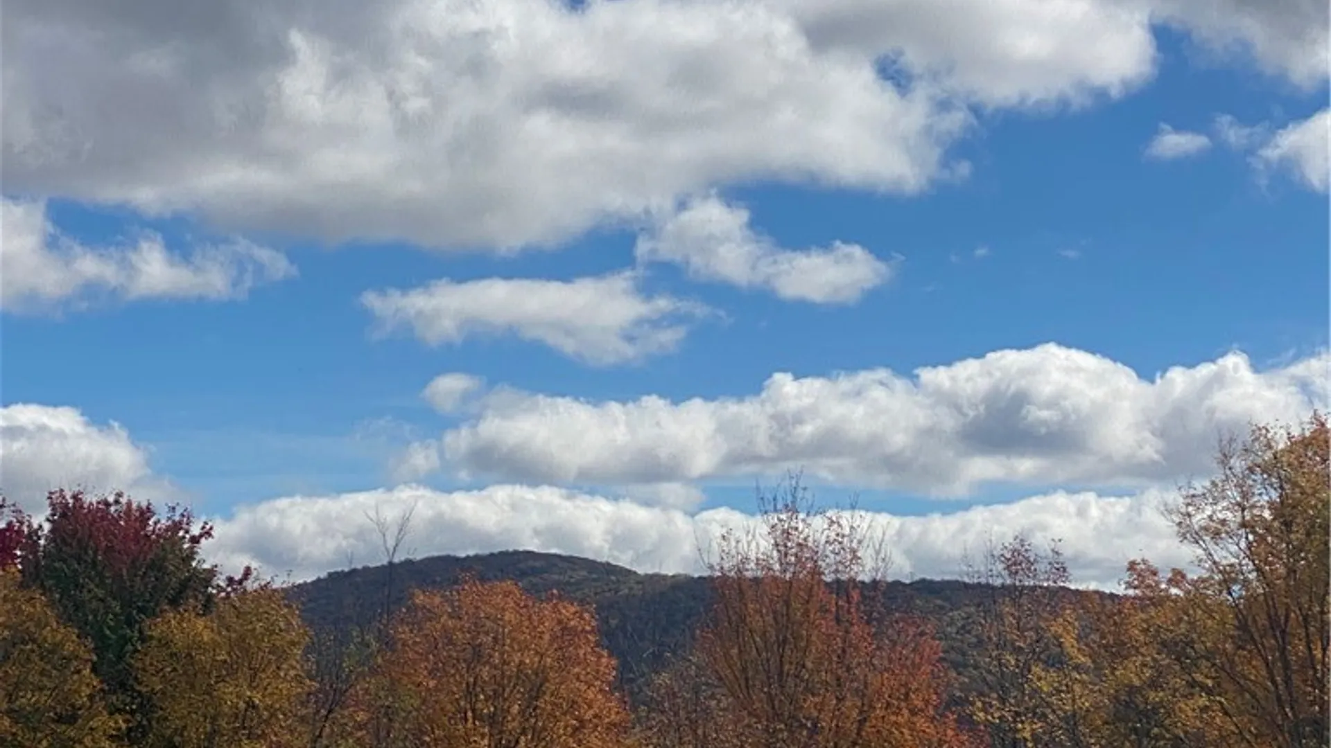 Property at 535 Babbling Brook Road, Bovina, NY 13740 14
