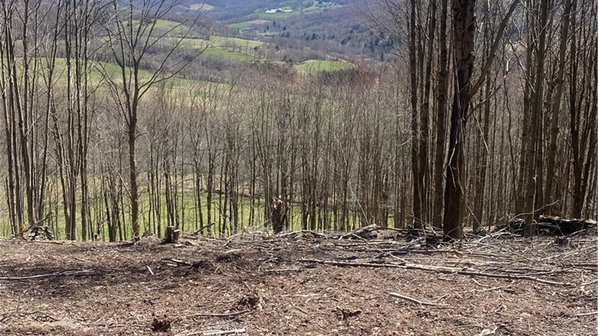 Property at 535 Babbling Brook Road, Bovina, NY 13740 19
