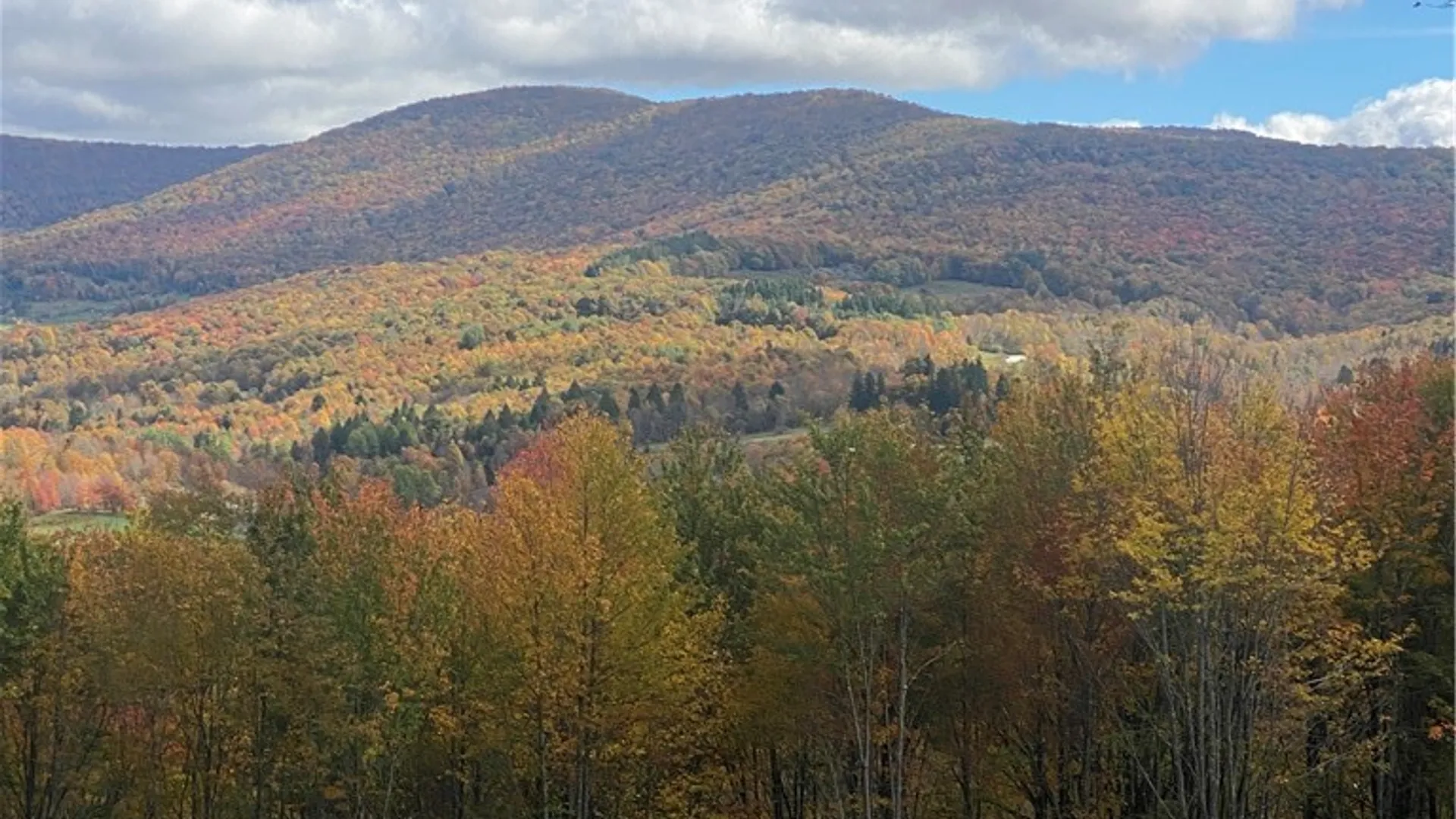 Property at 535 Babbling Brook Road, Bovina, NY 13740 2