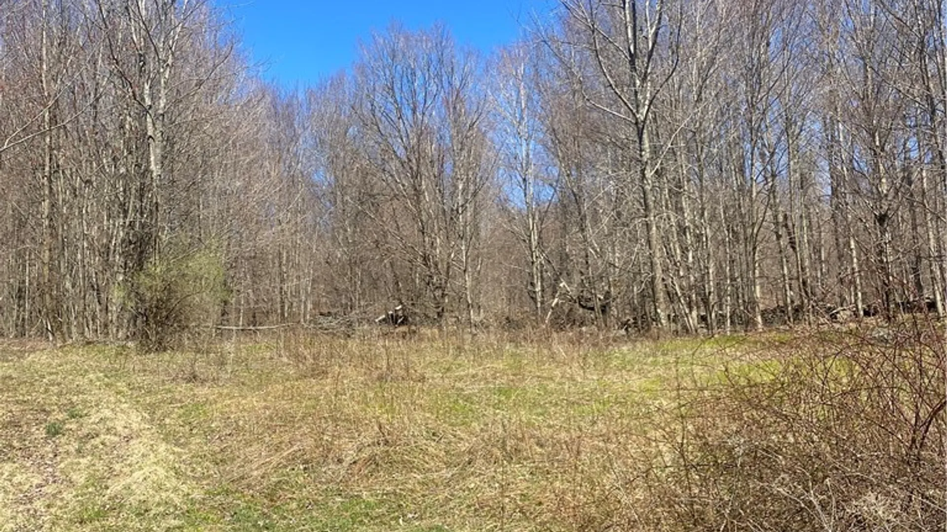 Property at 535 Babbling Brook Road, Bovina, NY 13740 23