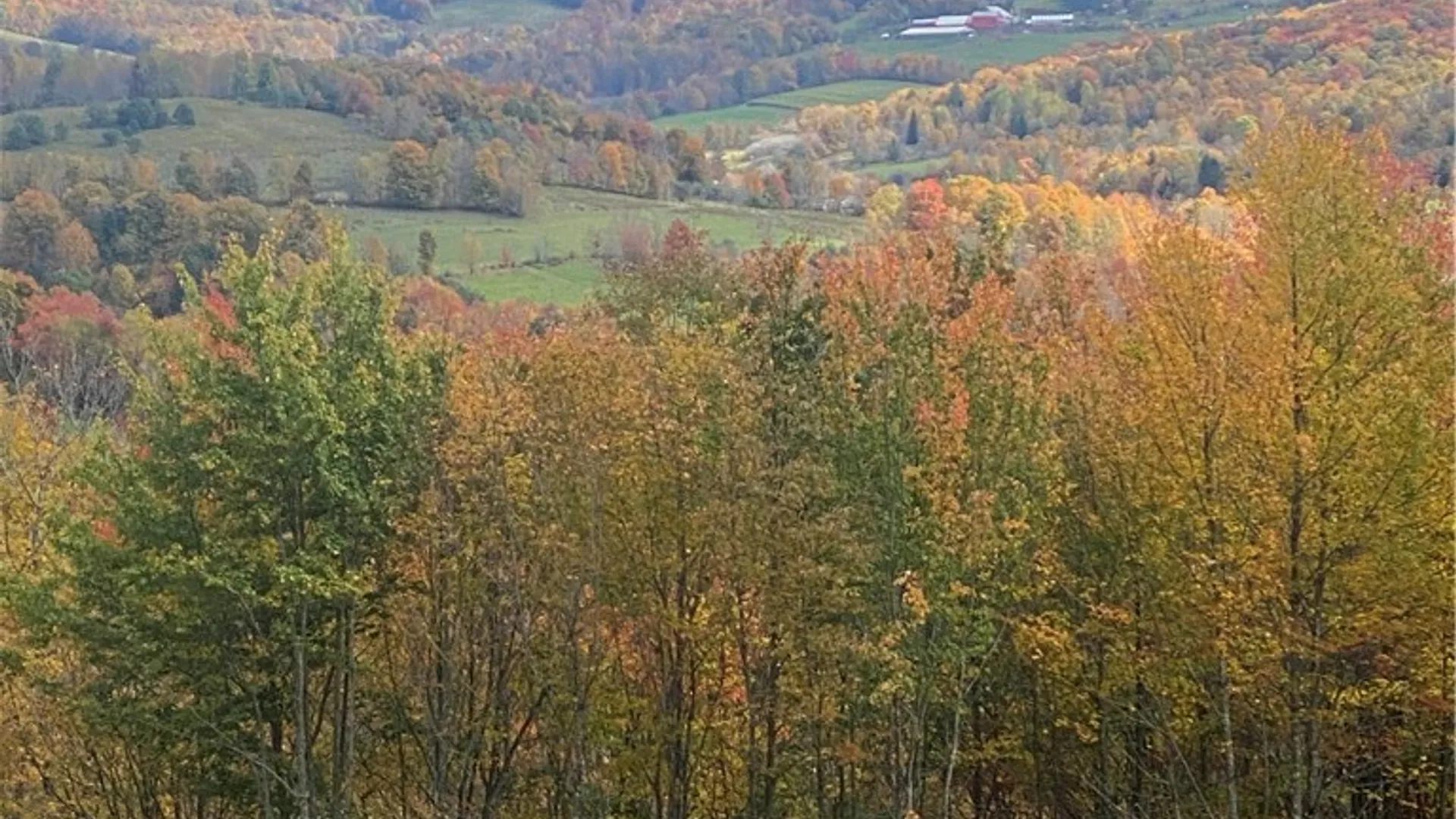 Property at 535 Babbling Brook Road, Bovina, NY 13740 9
