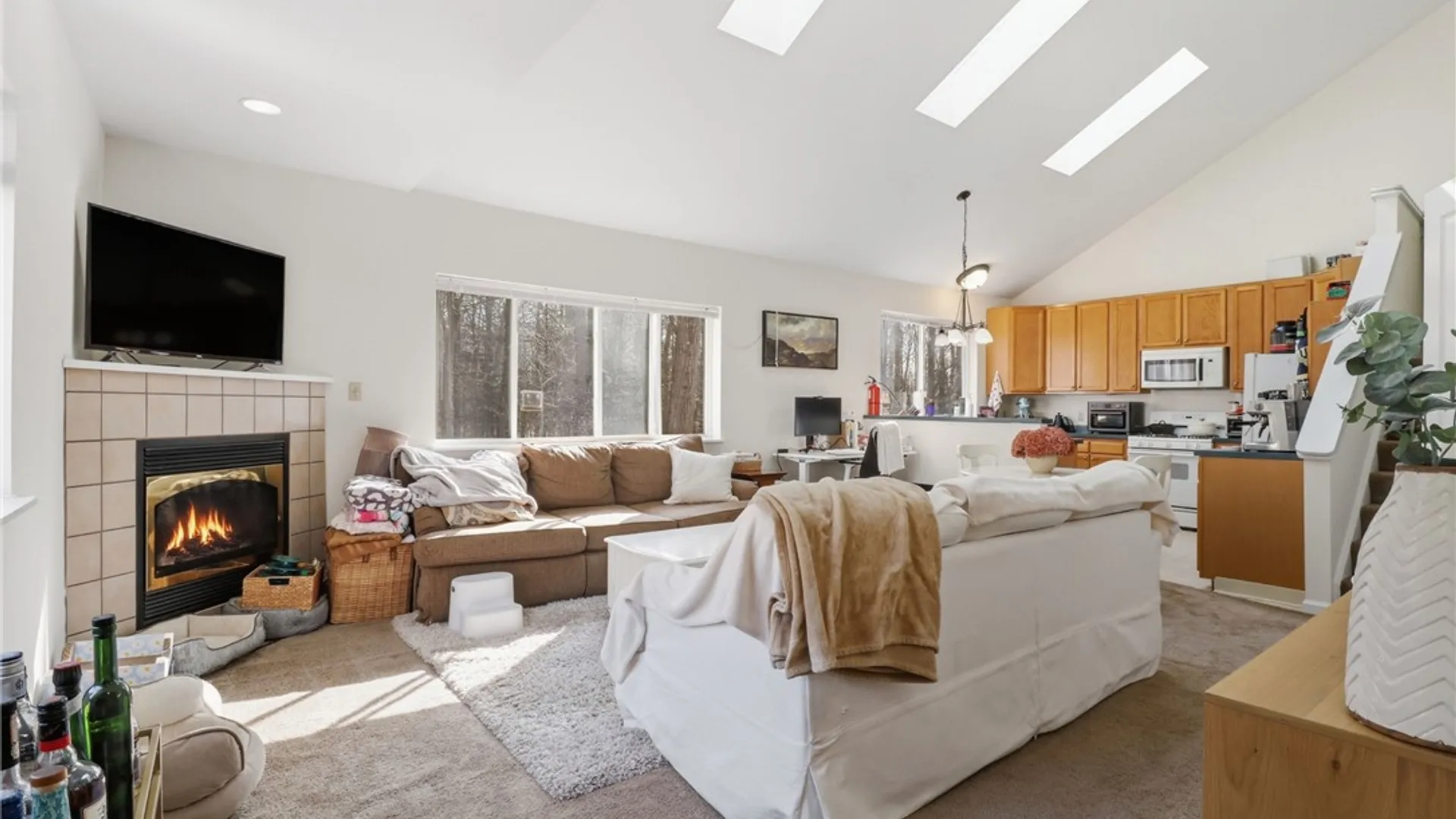 Property at 9 Sanctuary Drive, Ithaca Town, NY 14850 36