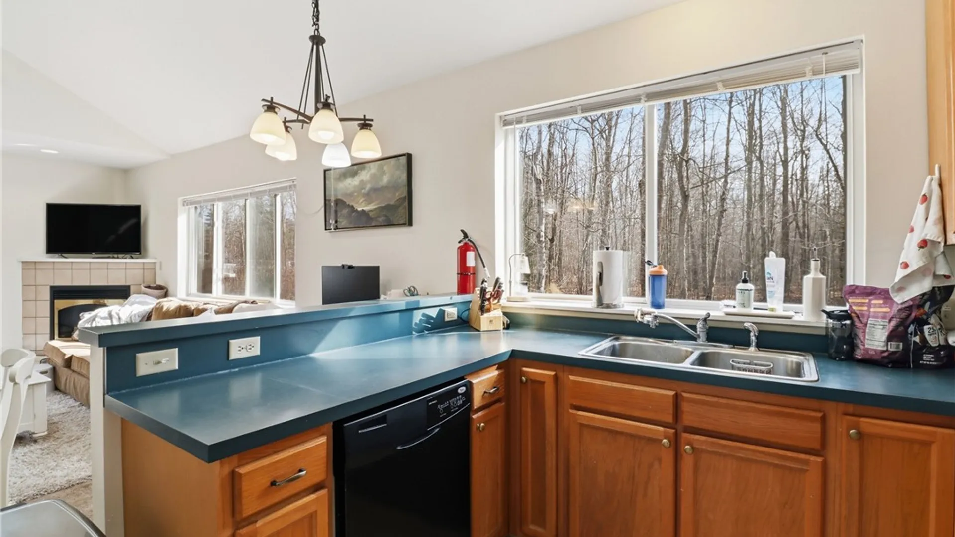 Property at 9 Sanctuary Drive, Ithaca Town, NY 14850 40