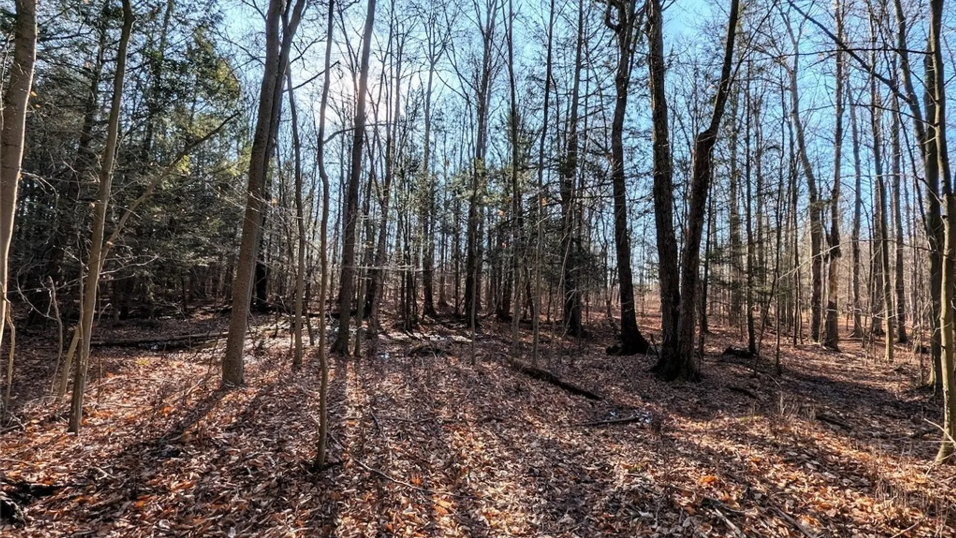 Property at South Road, Rathbone, NY 14801 10