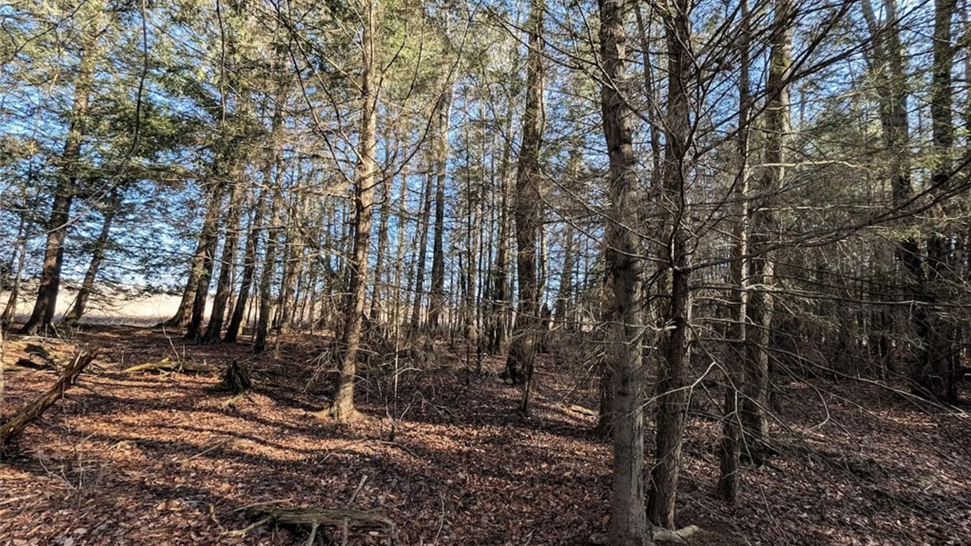 Property at South Road, Rathbone, NY 14801 11