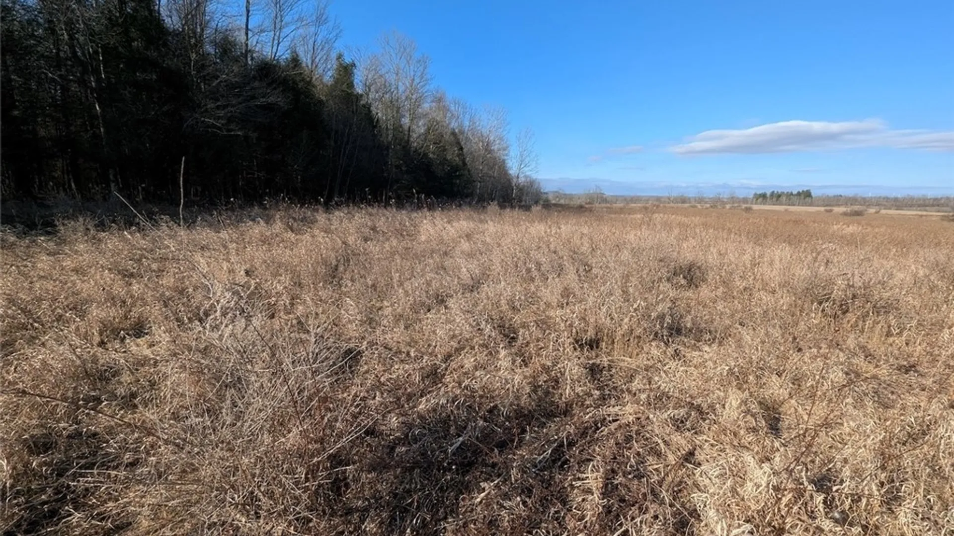 Property at South Road, Rathbone, NY 14801 12