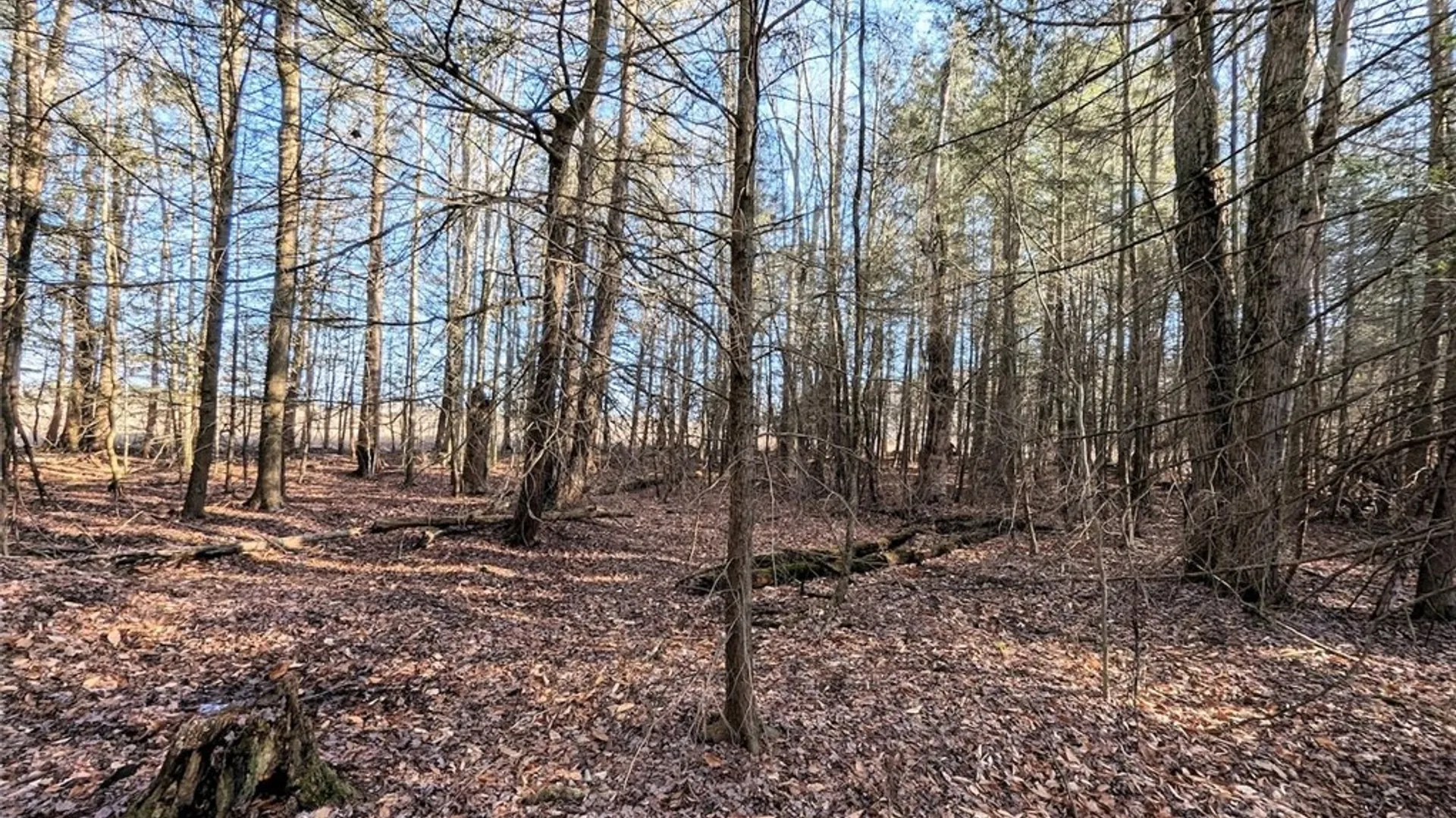 Property at South Road, Rathbone, NY 14801 13
