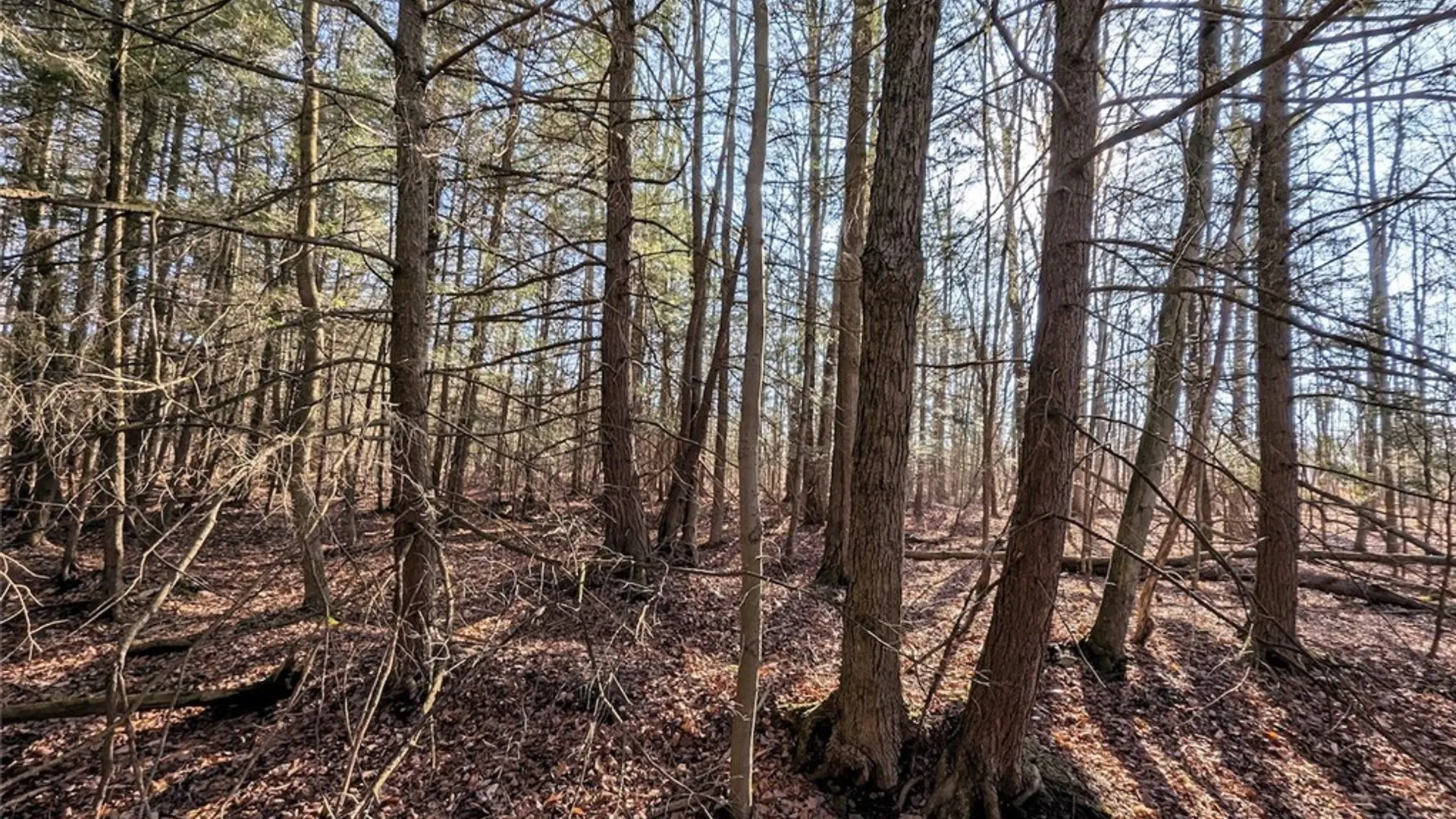 Property at South Road, Rathbone, NY 14801 14