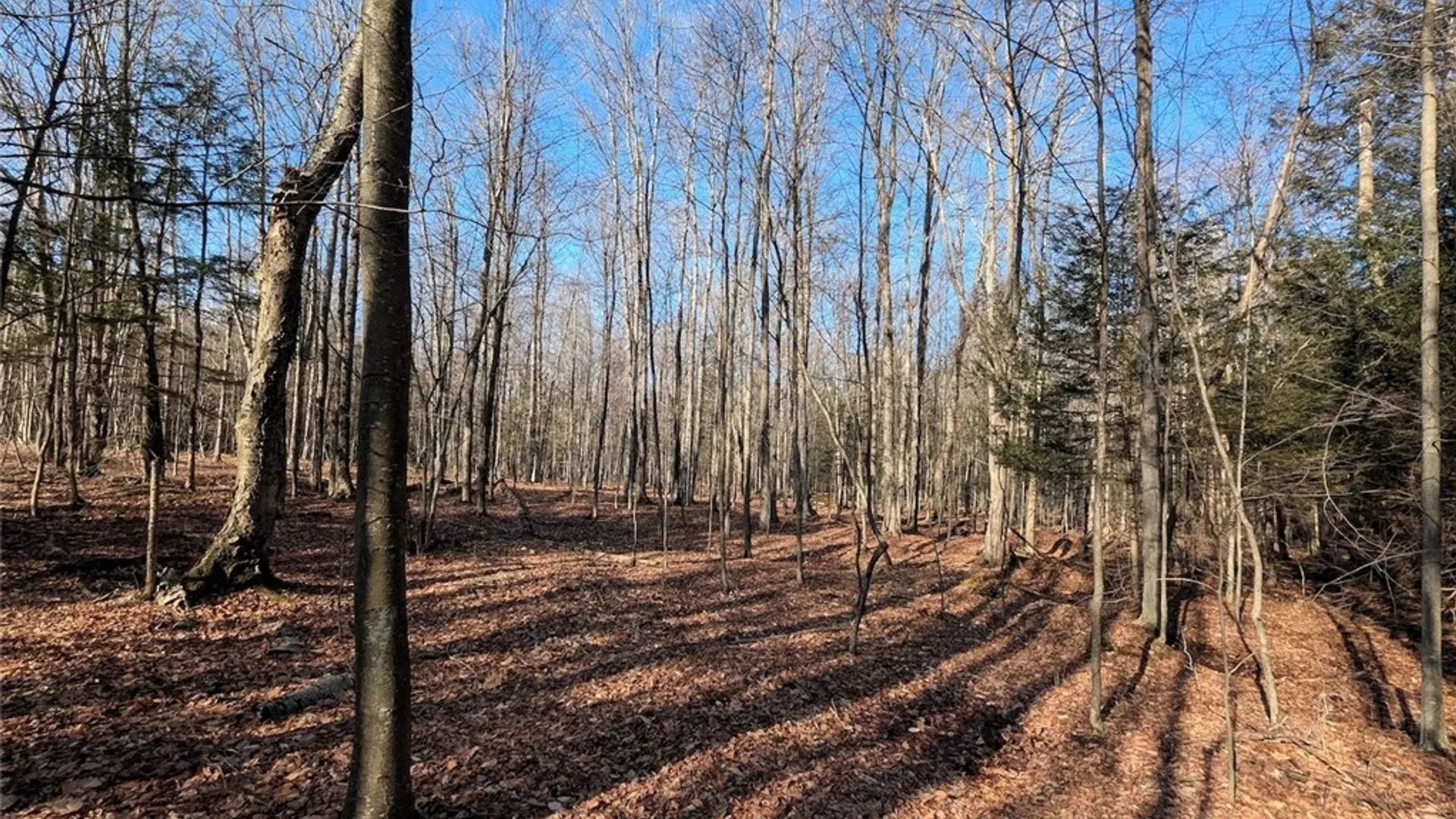 Property at South Road, Rathbone, NY 14801 16