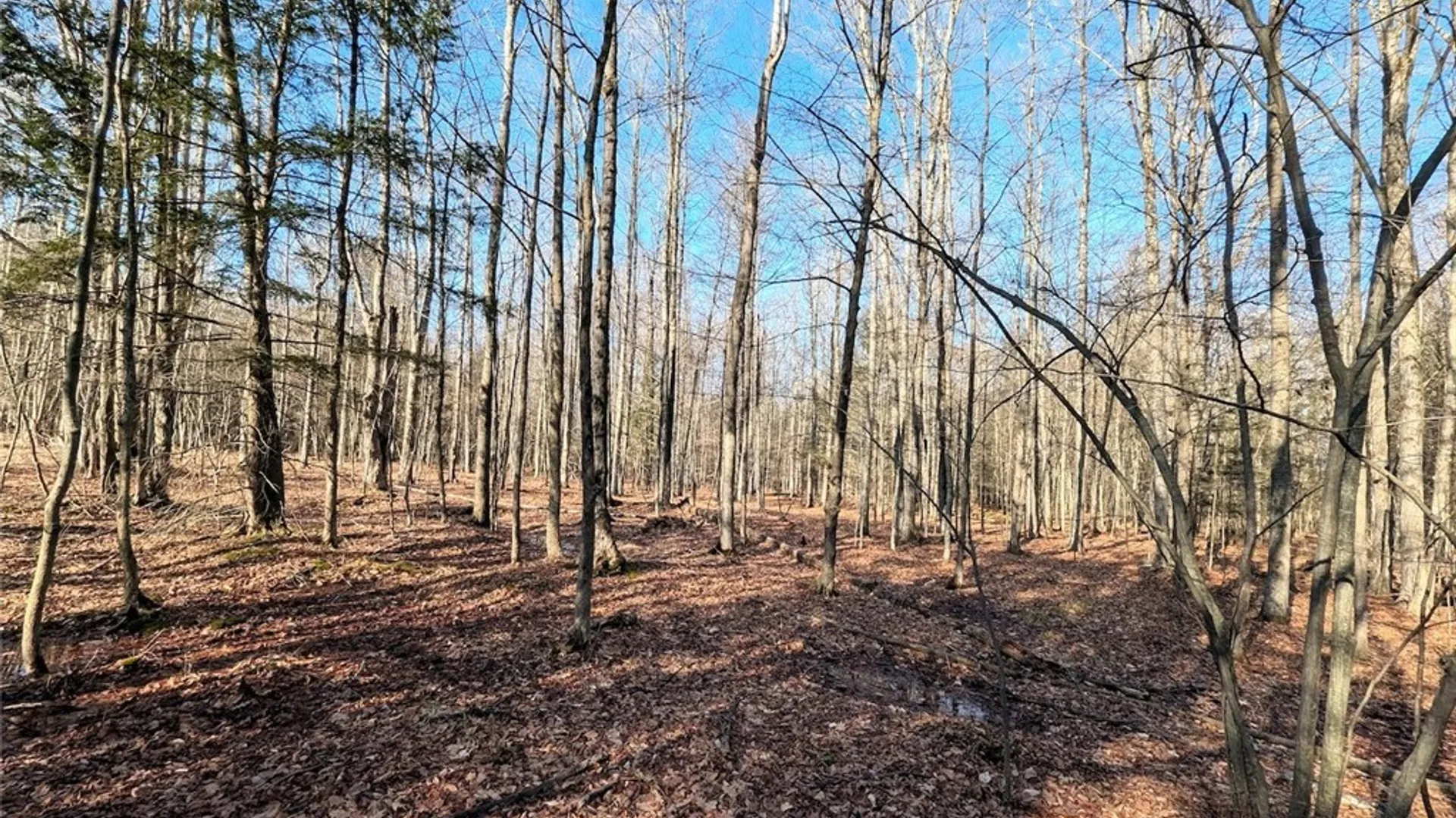 Property at South Road, Rathbone, NY 14801 17