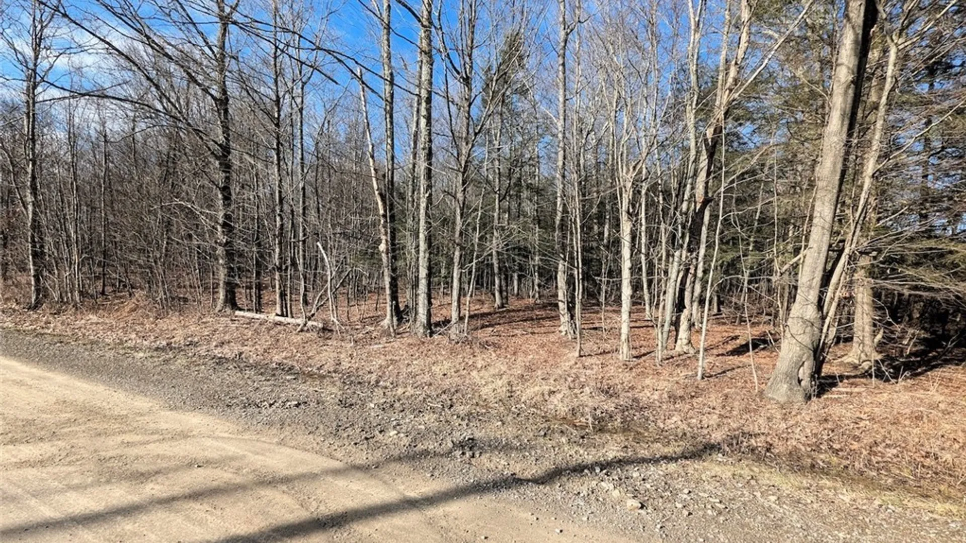 Property at South Road, Rathbone, NY 14801 18