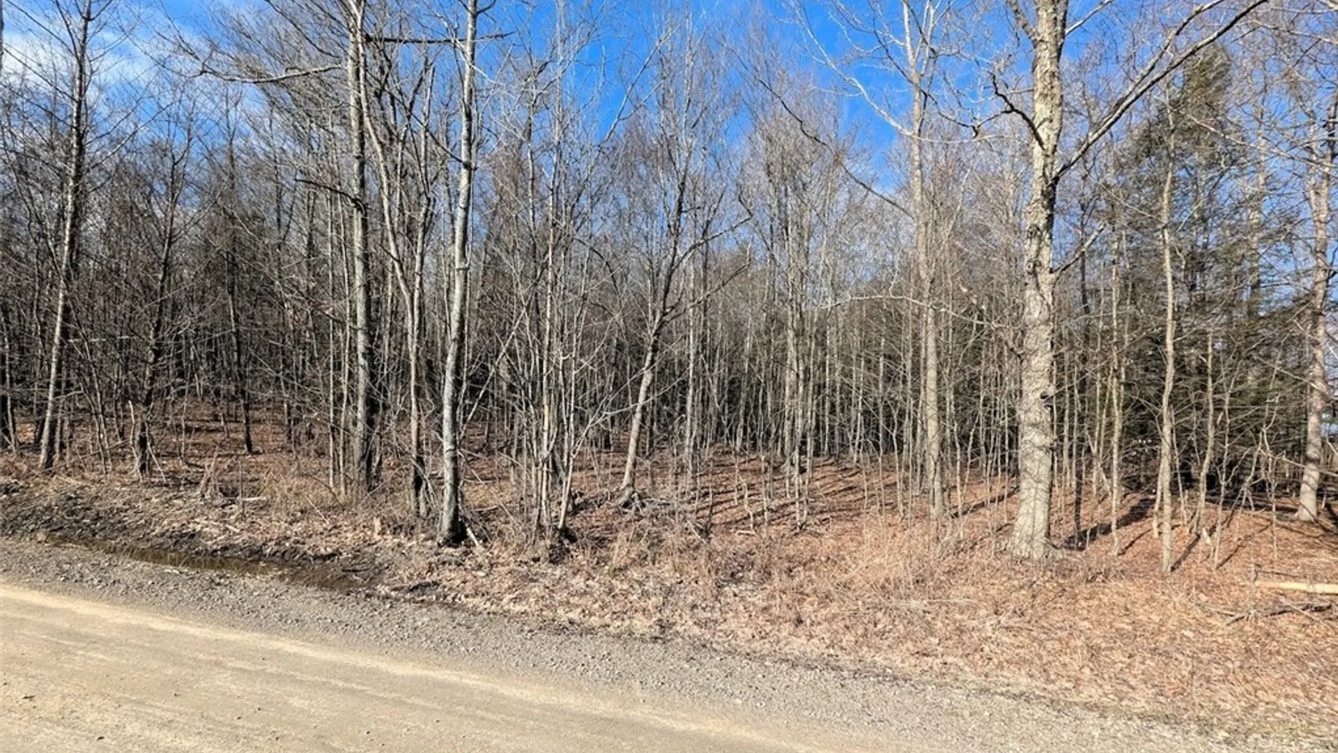 Property at South Road, Rathbone, NY 14801 20