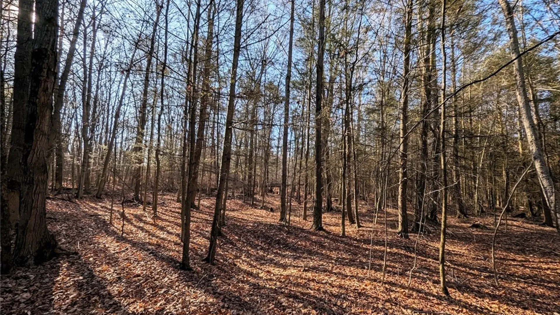 Property at South Road, Rathbone, NY 14801 5