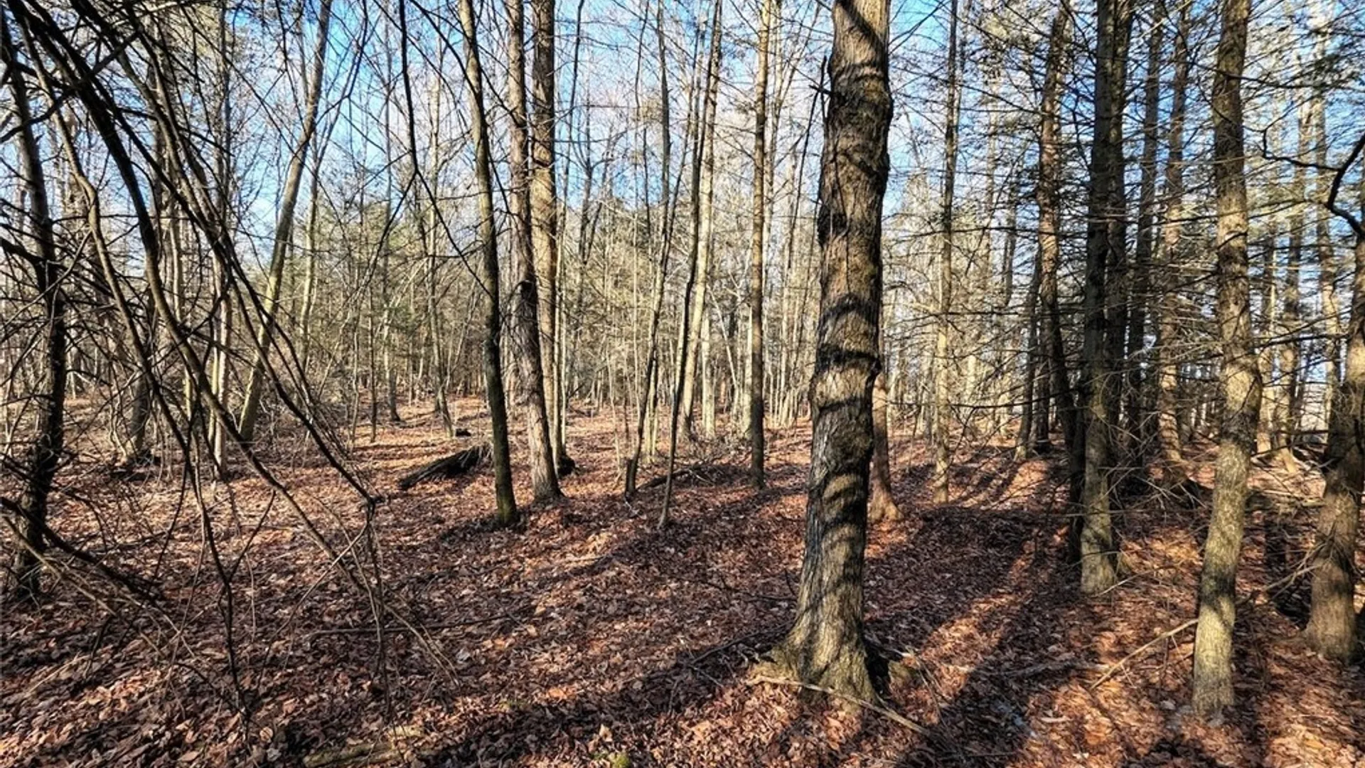 Property at South Road, Rathbone, NY 14801 6