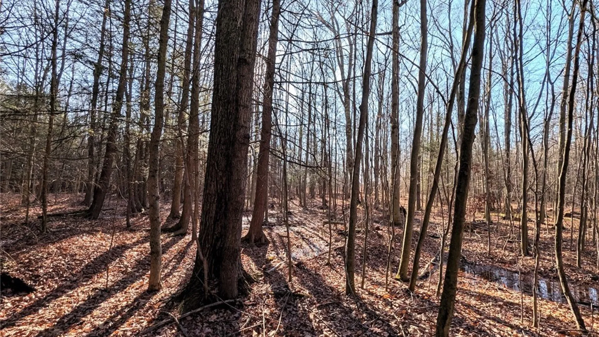 Property at South Road, Rathbone, NY 14801 7
