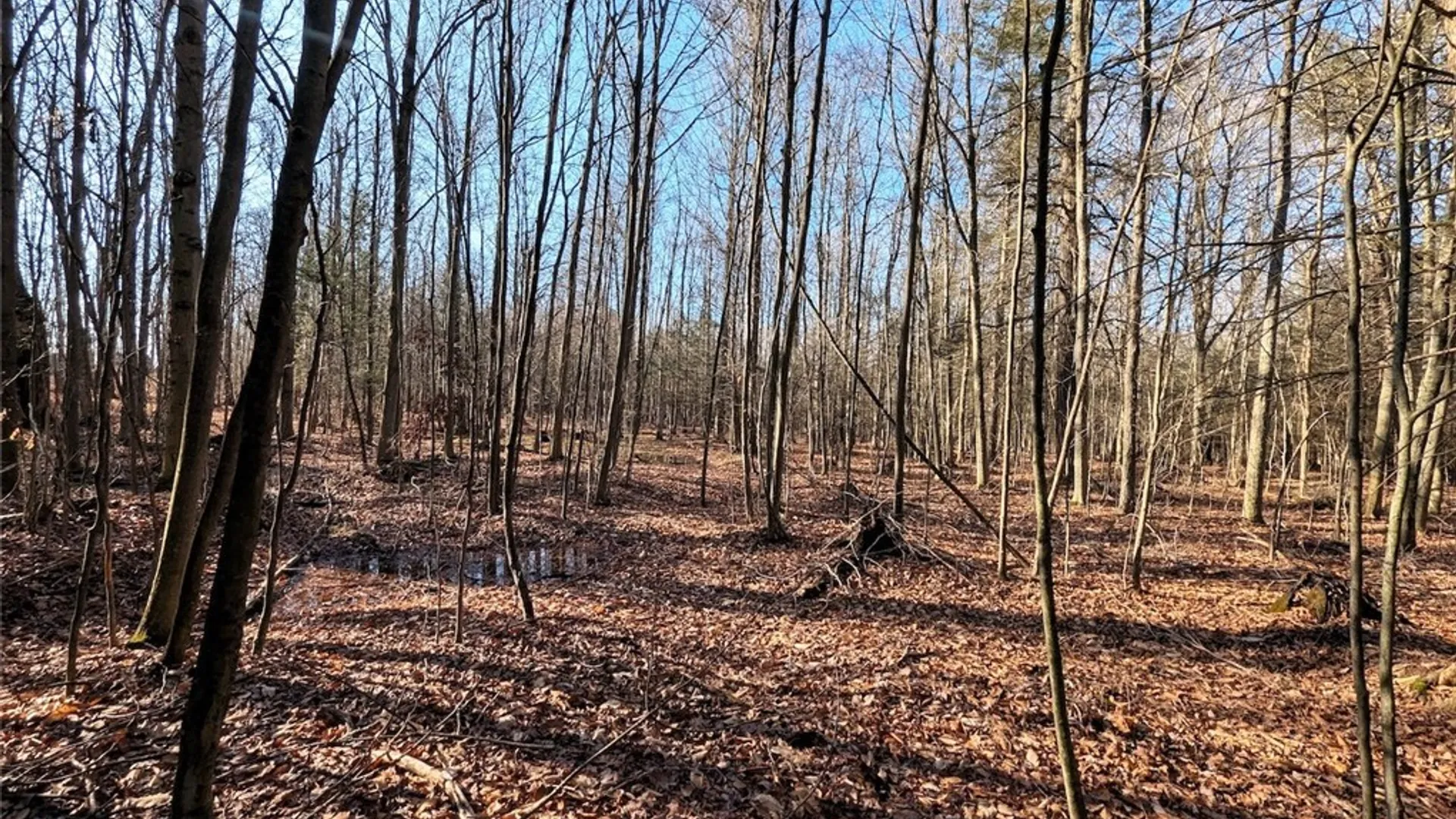 Property at South Road, Rathbone, NY 14801 8