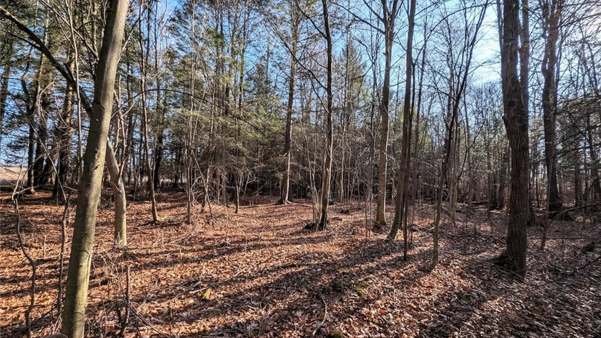 Property at South Road, Rathbone, NY 14801 9