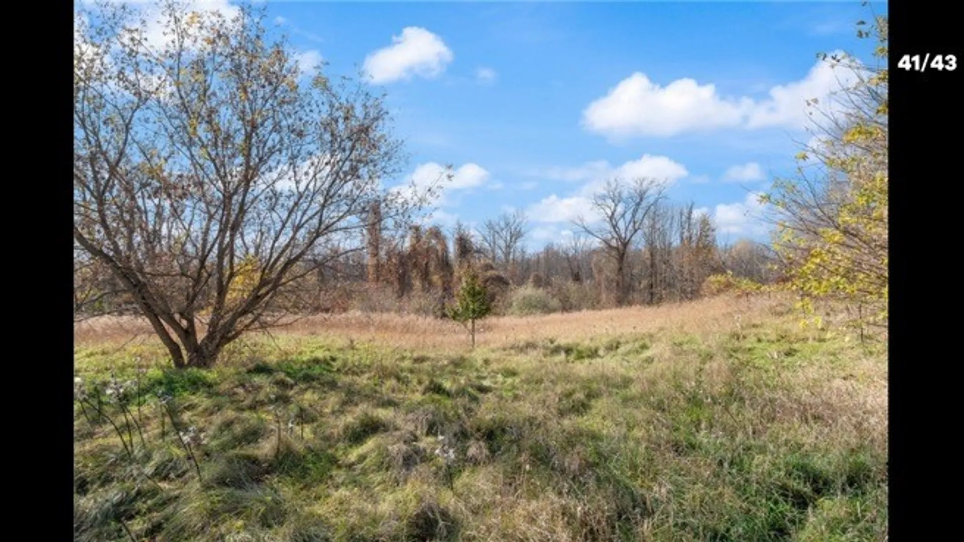 Property at 533 Gillett Road, Ogden, NY 14559 10