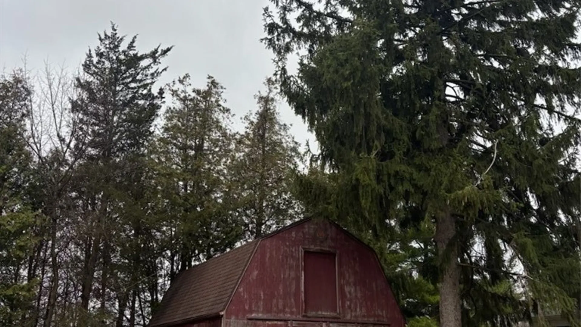 Property at 533 Gillett Road, Ogden, NY 14559 12