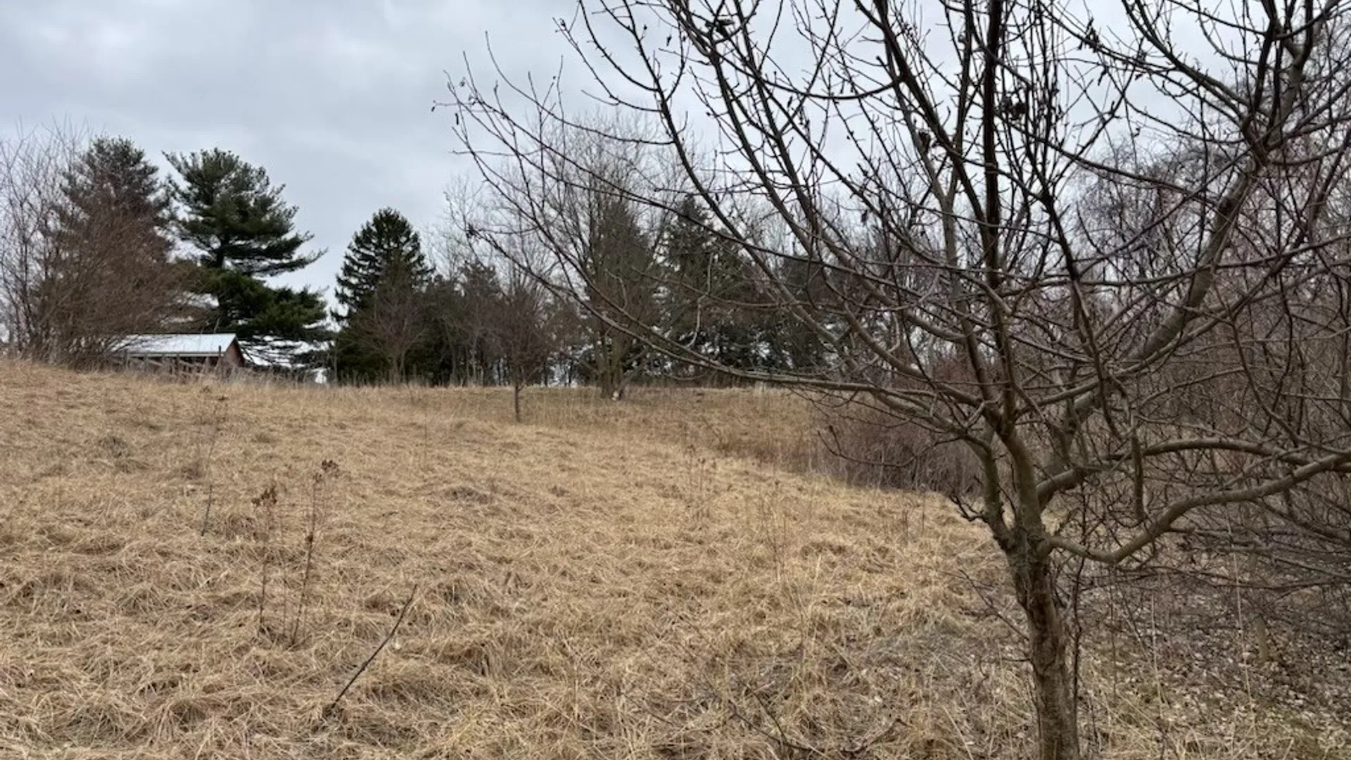 Property at 533 Gillett Road, Ogden, NY 14559 32