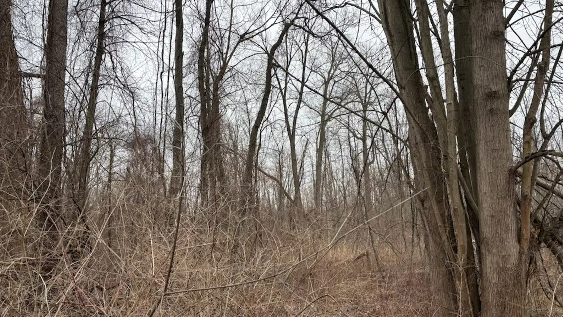 Property at 533 Gillett Road, Ogden, NY 14559 33