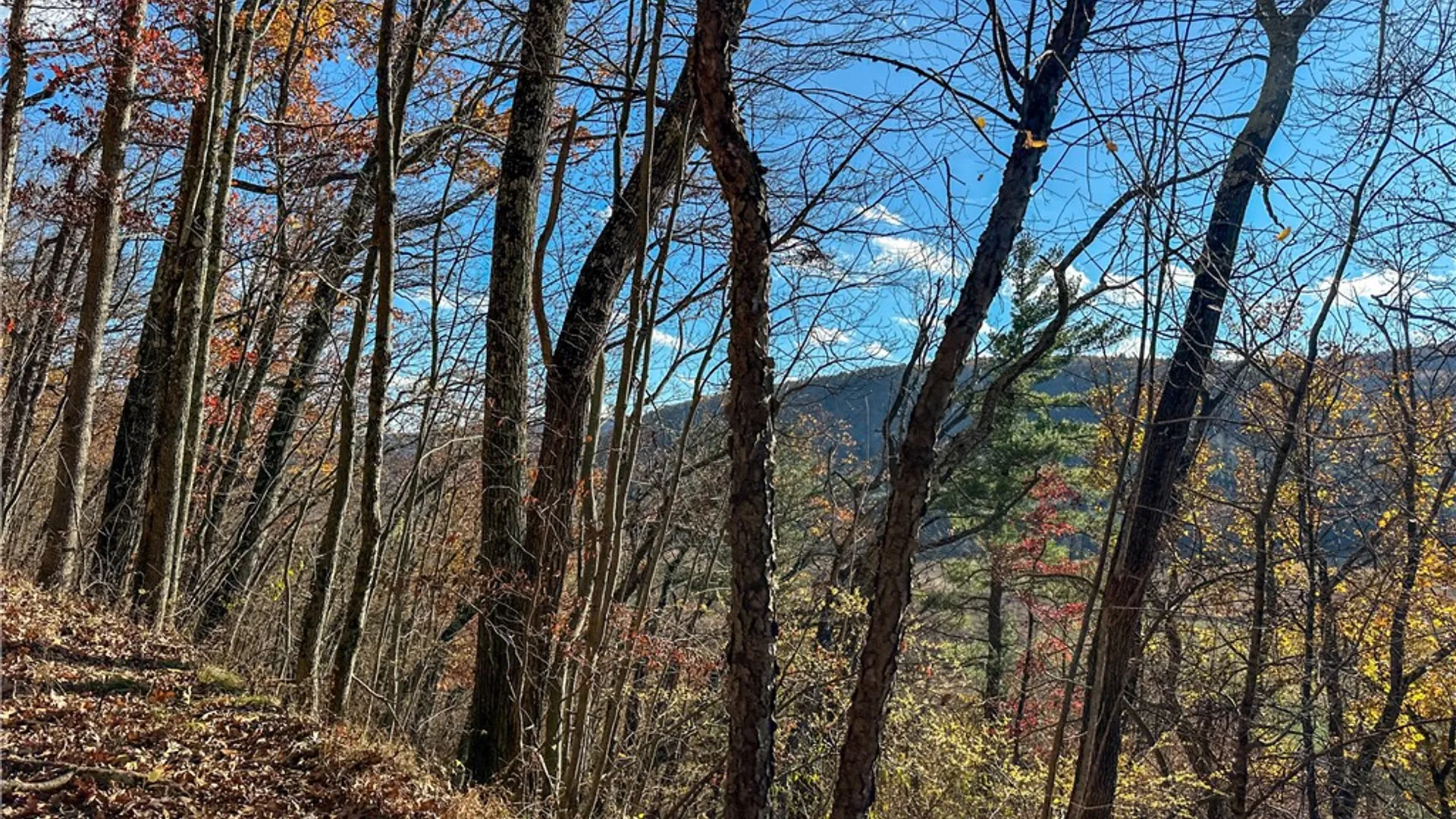 Property at VL Lot 2 Hathaway Hill Rd, Canisteo, NY 14823 11