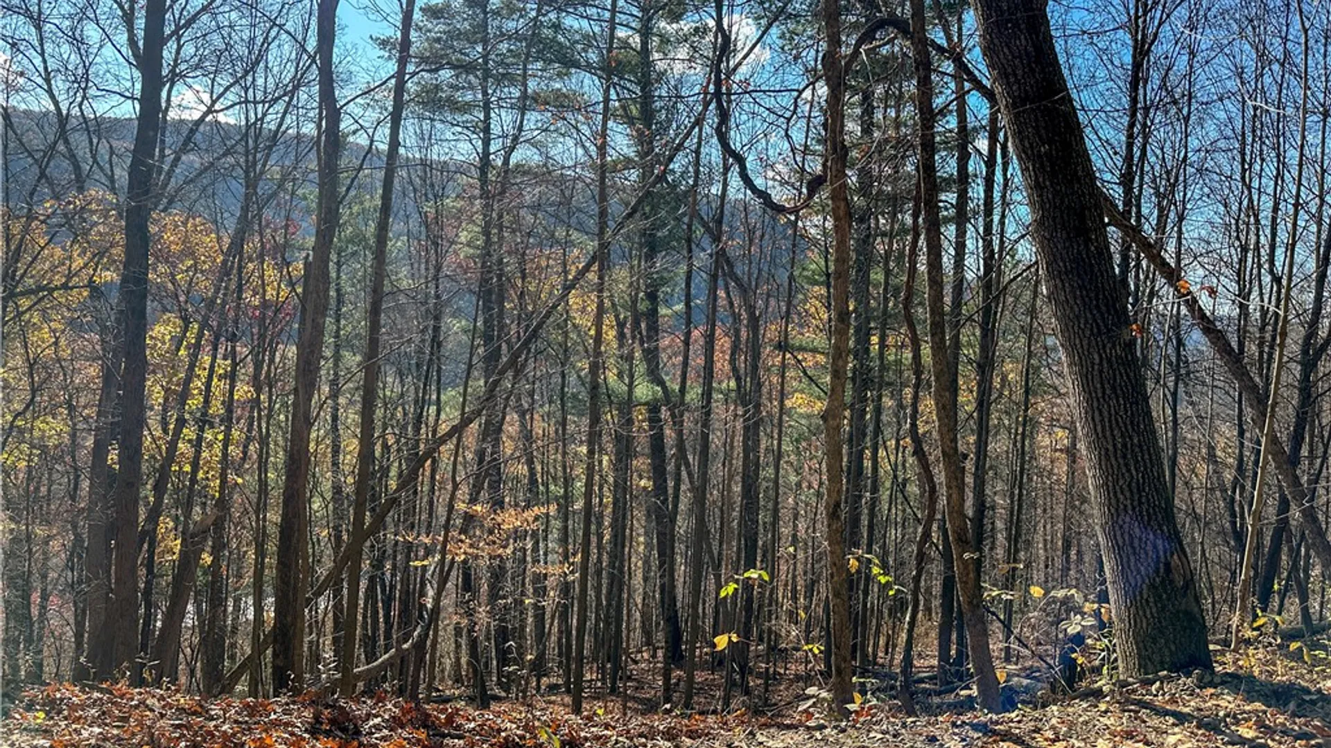 Property at VL Lot 2 Hathaway Hill Rd, Canisteo, NY 14823 13