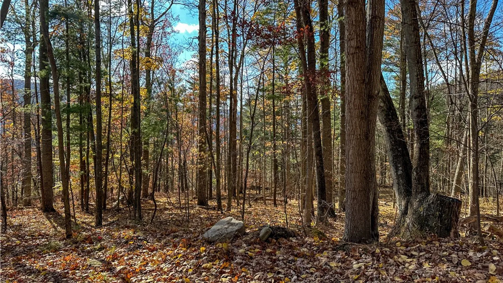 Property at VL Lot 2 Hathaway Hill Rd, Canisteo, NY 14823 15
