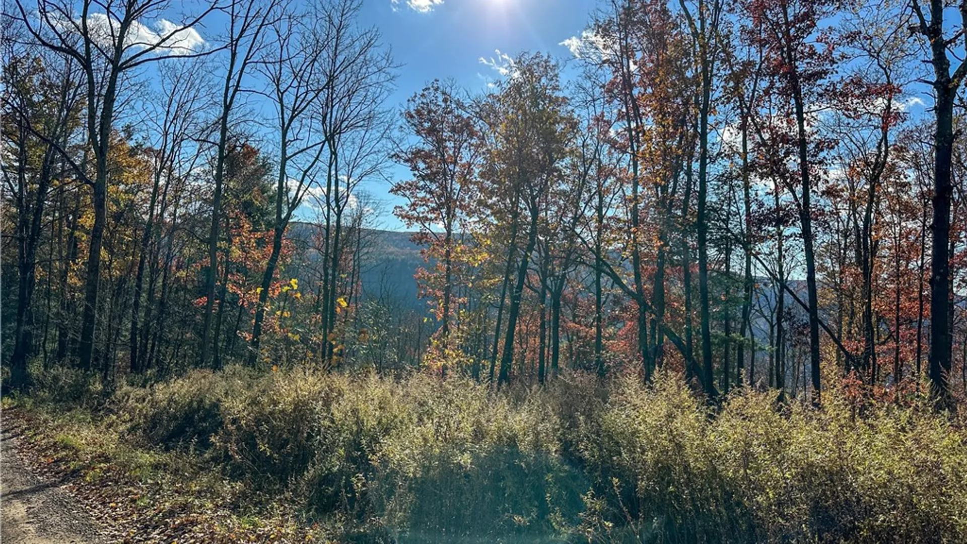 Property at VL Lot 2 Hathaway Hill Rd, Canisteo, NY 14823 16