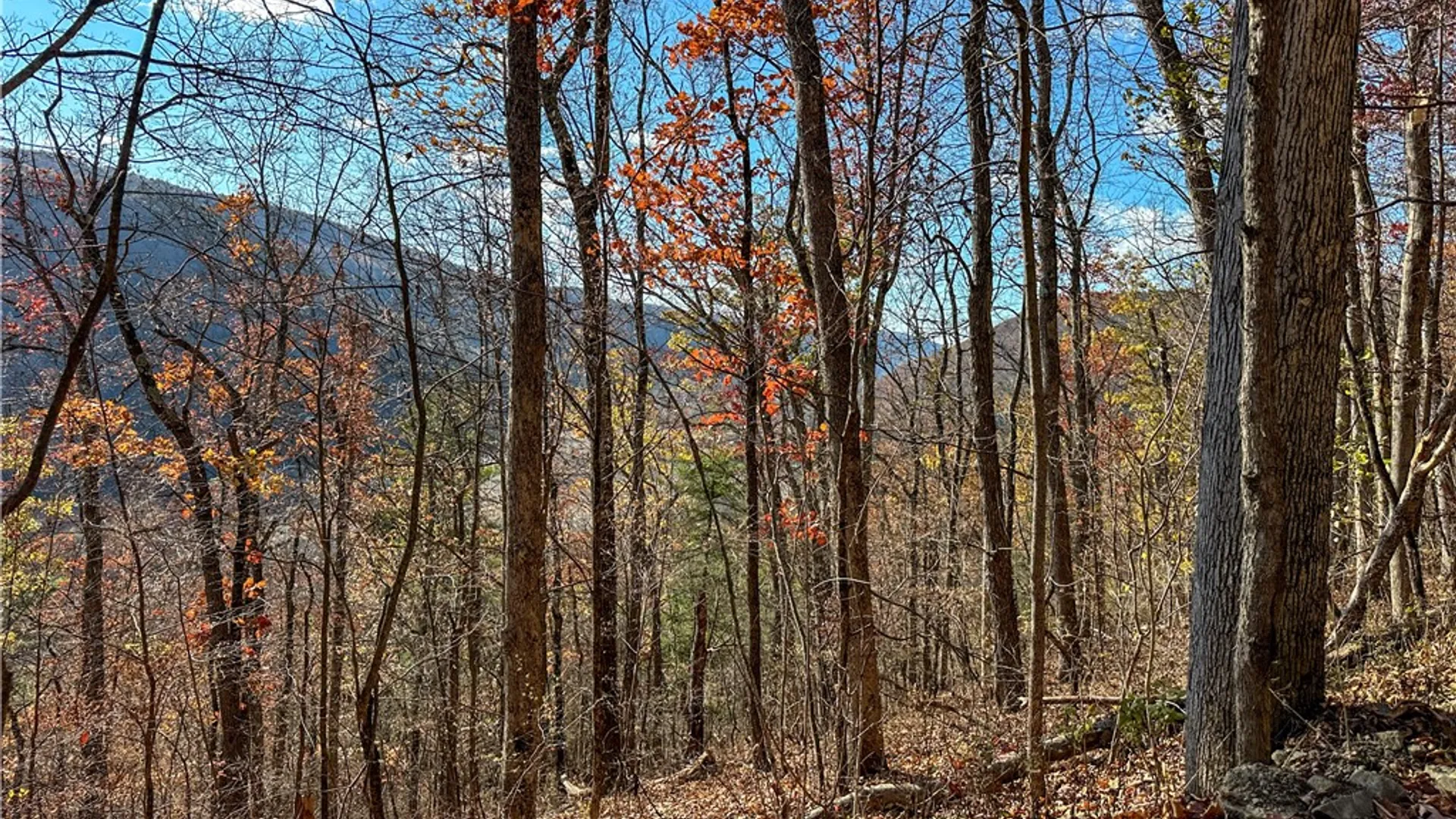 Property at VL Lot 2 Hathaway Hill Rd, Canisteo, NY 14823 17