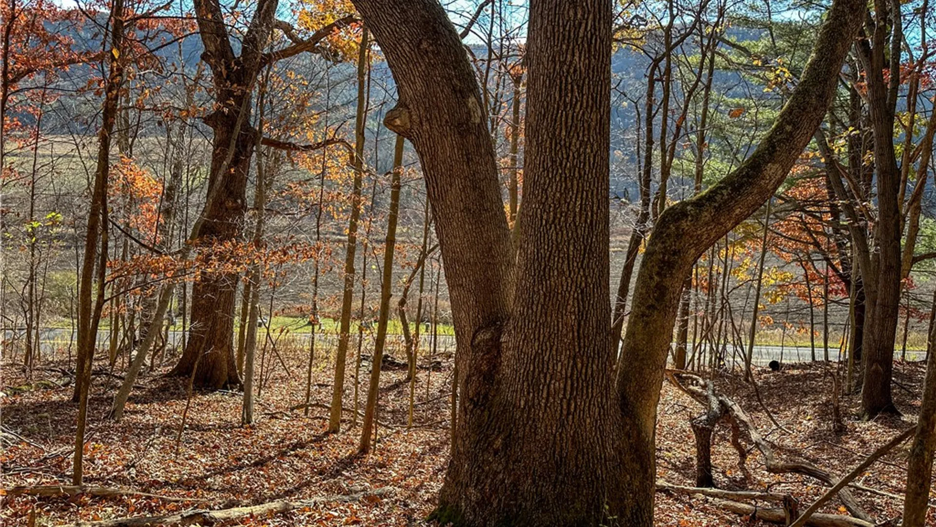 Property at VL Lot 2 Hathaway Hill Rd, Canisteo, NY 14823 3