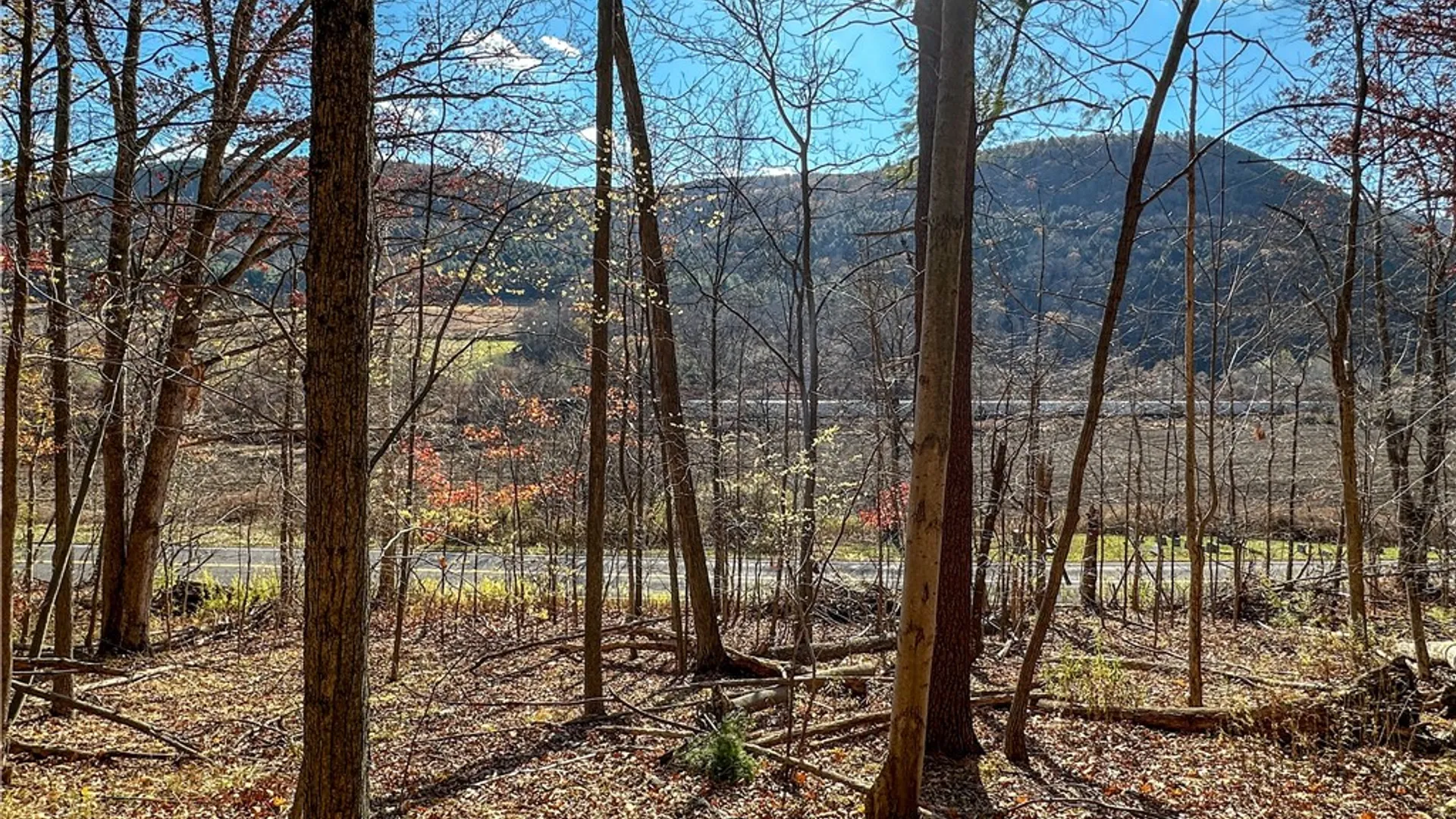 Property at VL Lot 2 Hathaway Hill Rd, Canisteo, NY 14823 4