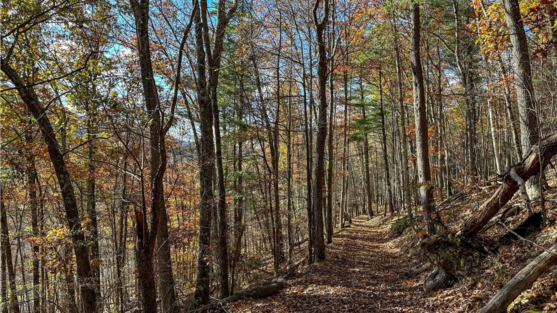 Property at VL Lot 2 Hathaway Hill Rd, Canisteo, NY 14823 5
