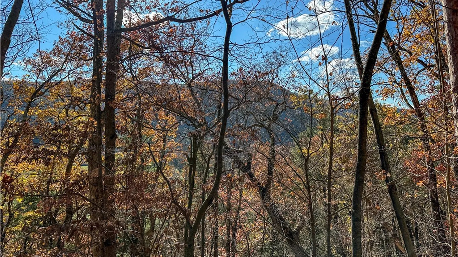Property at VL Lot 2 Hathaway Hill Rd, Canisteo, NY 14823 7