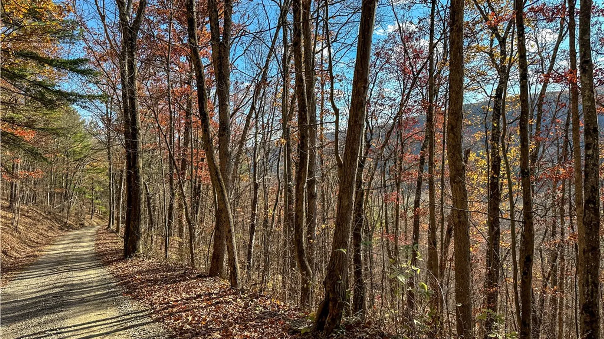 Property at VL Lot 2 Hathaway Hill Rd, Canisteo, NY 14823 8