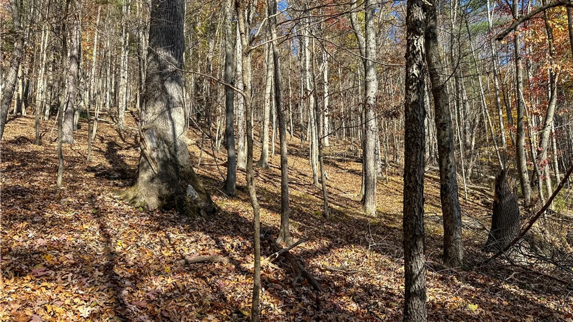 Property at VL Lot 2 Hathaway Hill Rd, Canisteo, NY 14823 9