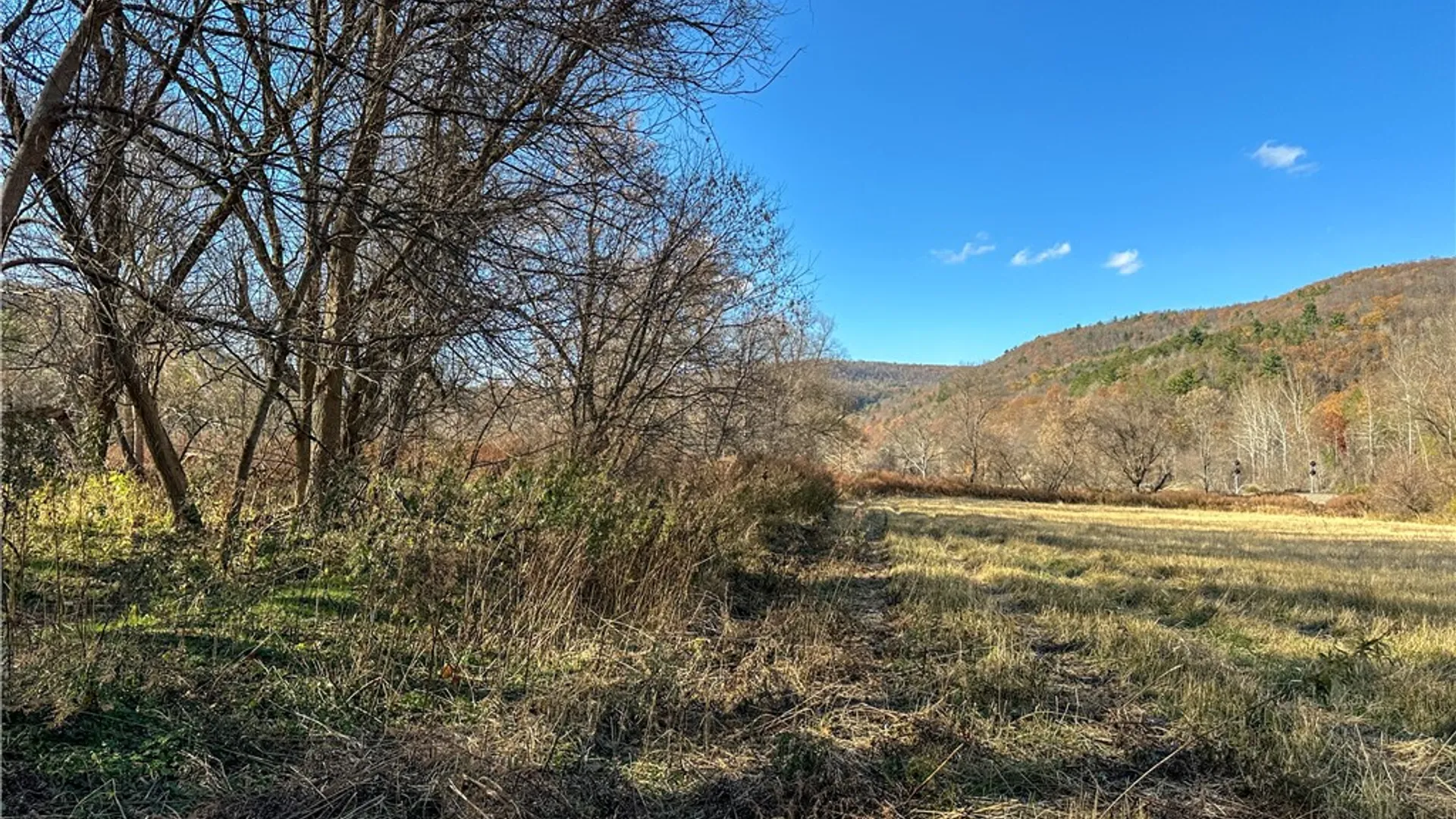 Property at VL Lot 4 County Route 119, Cameron, NY 14819 11