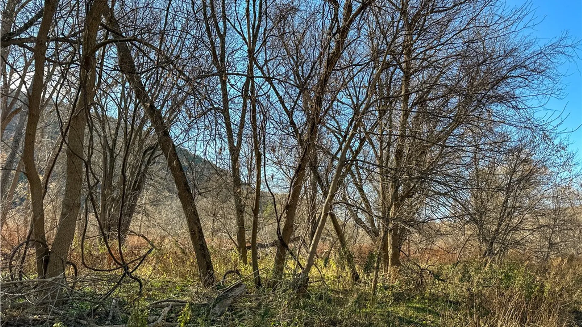 Property at VL Lot 4 County Route 119, Cameron, NY 14819 17