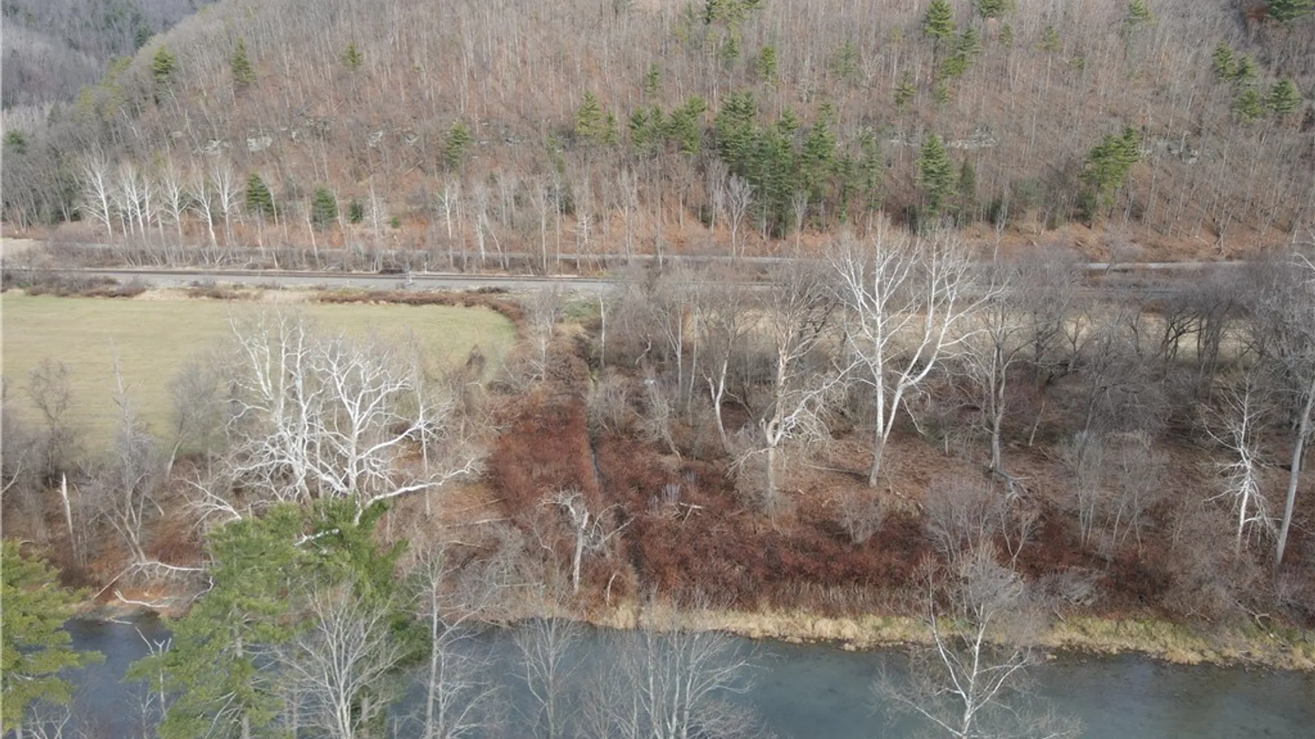 Property at VL Lot 4 County Route 119, Cameron, NY 14819 21