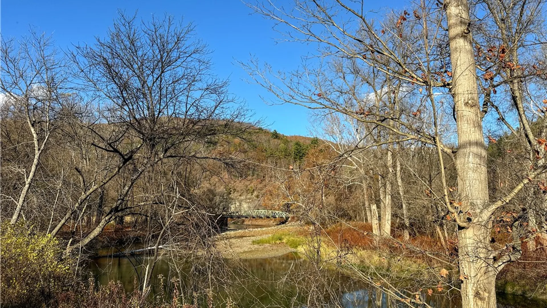 Property at VL Lot 4 County Route 119, Cameron, NY 14819 25