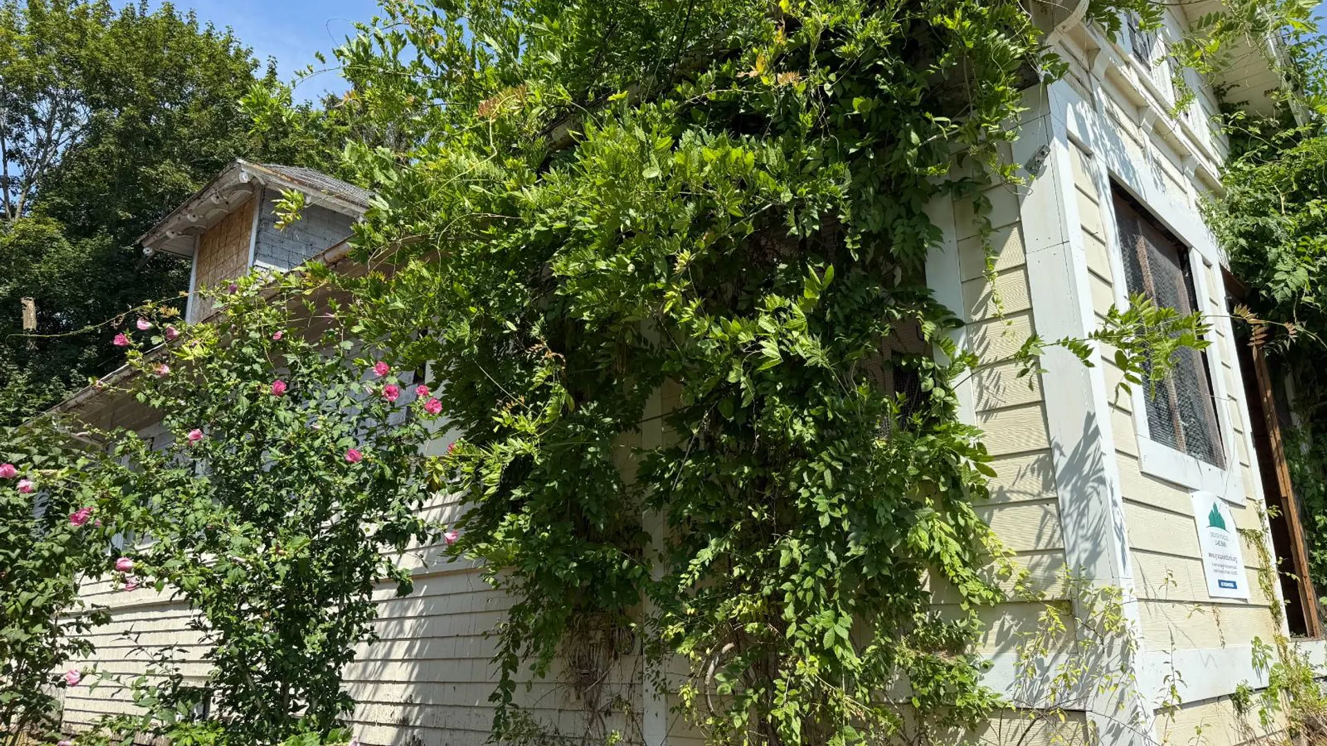 Property at 102 May Ave, Syracuse, NY 13207 3