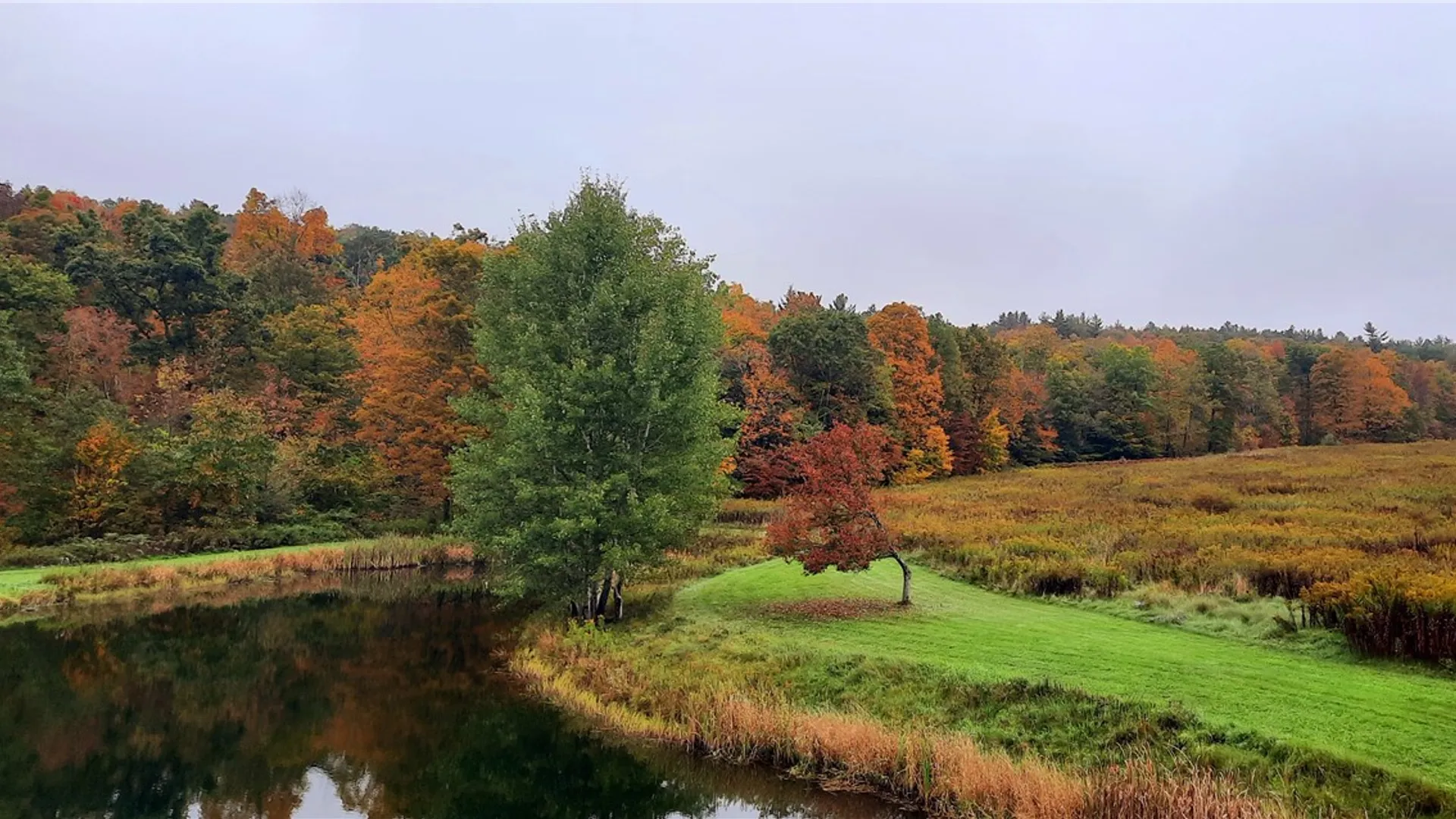 Property at 291 Parker Smith Hill Road, Guilford, NY 13733 7
