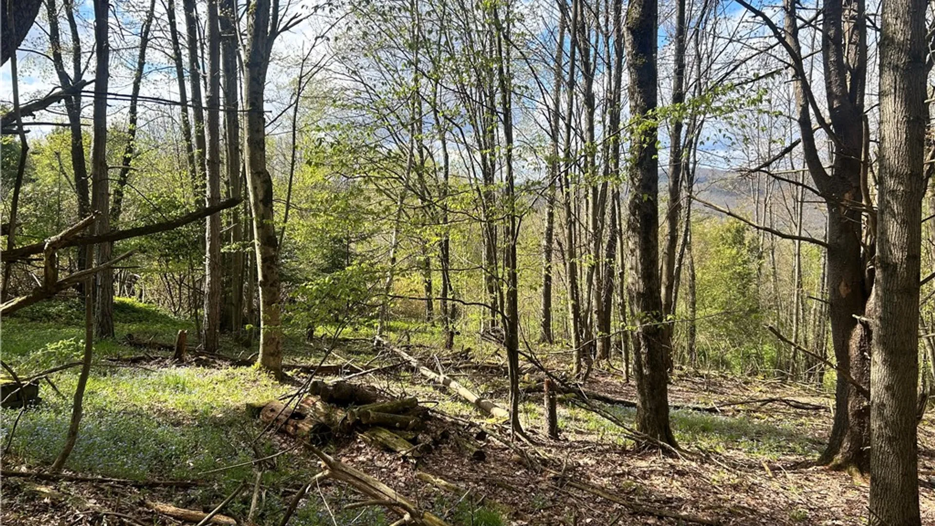 Property at 260 State Highway 28, Oneonta, NY 13820 29
