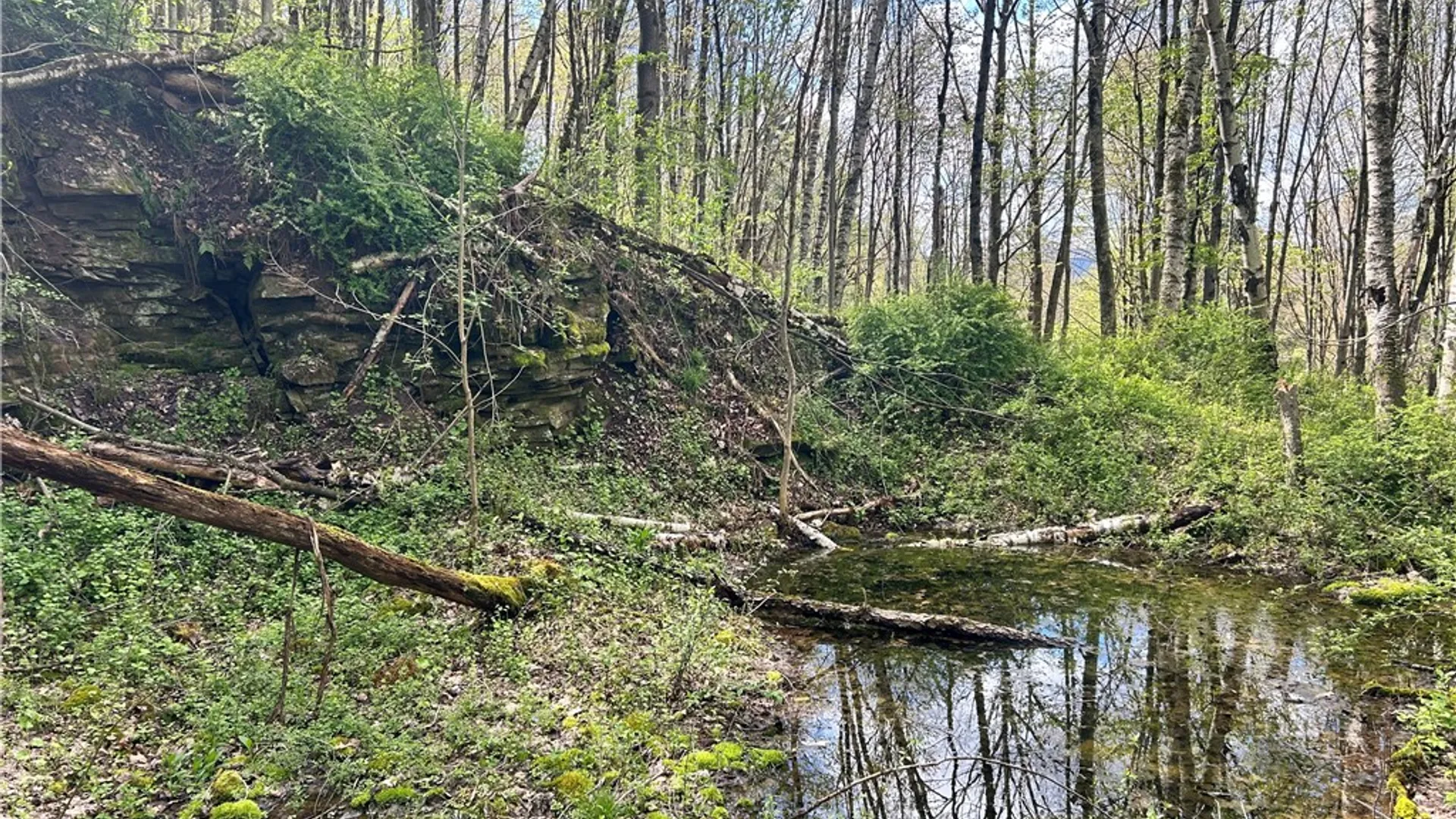 Property at 260 State Highway 28, Oneonta, NY 13820 33