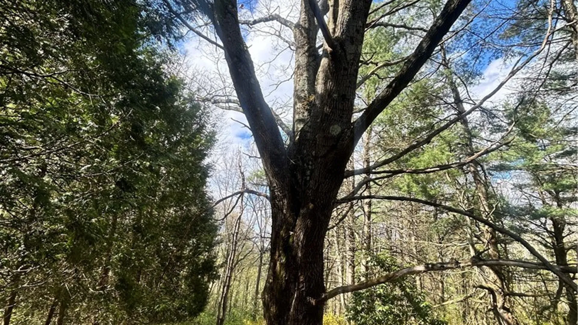 Property at 260 State Highway 28, Oneonta, NY 13820 35