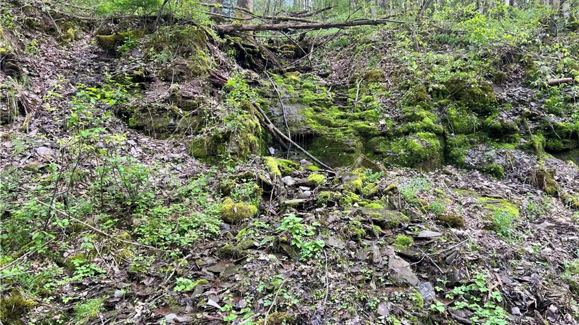 Property at 260 State Highway 28, Oneonta, NY 13820 36
