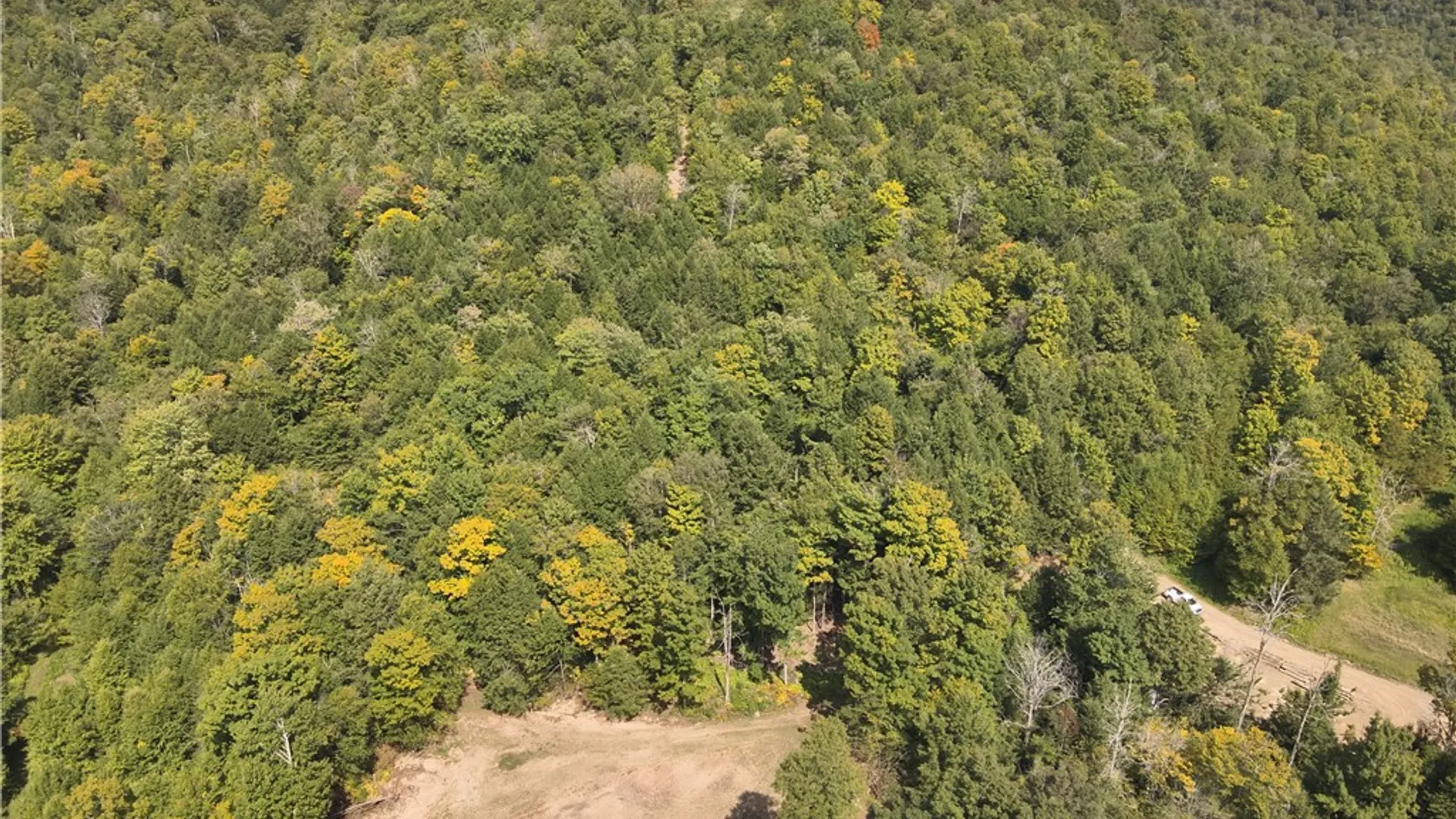 Property at 0 Alma Hill Road, Alma, NY 14895 10