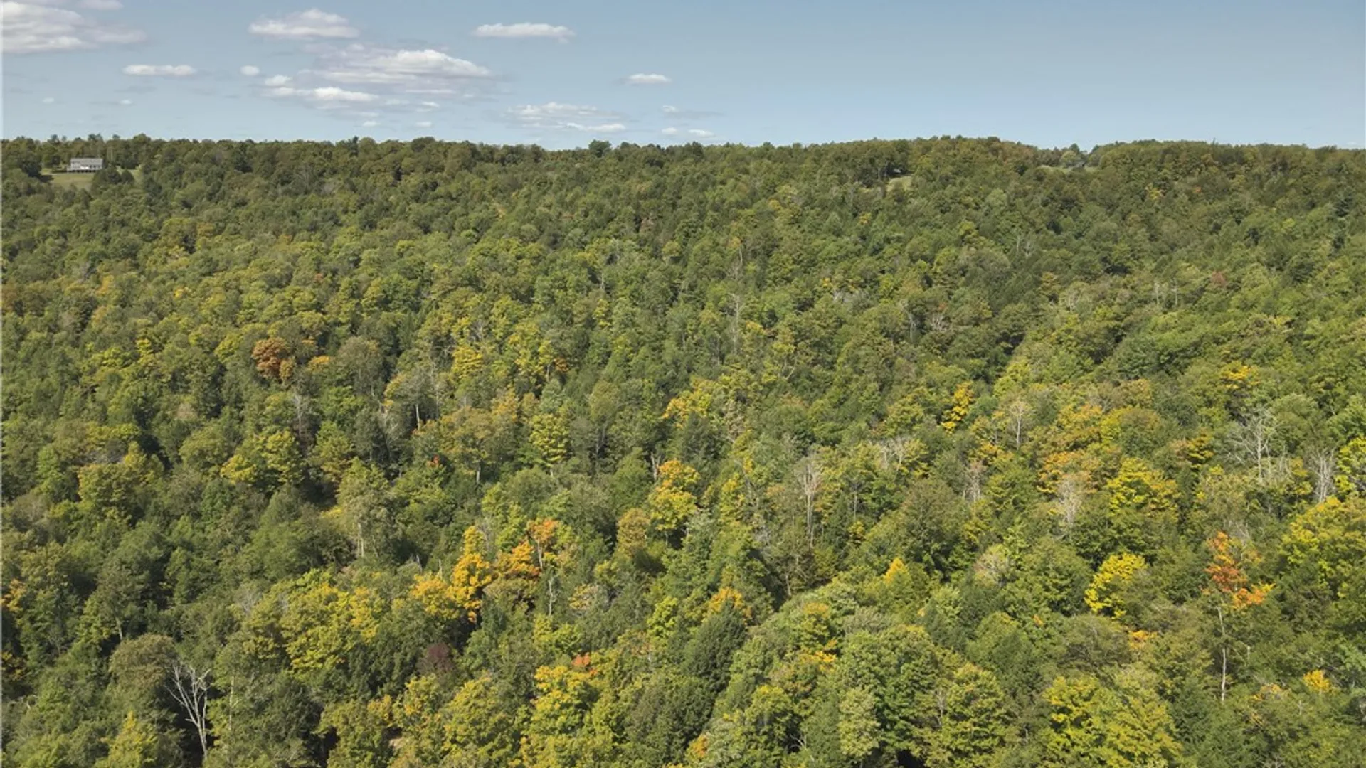 Property at 0 Alma Hill Road, Alma, NY 14895 11