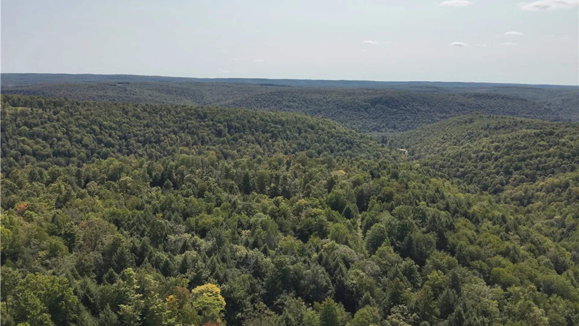 Property at 0 Alma Hill Road, Alma, NY 14895 12